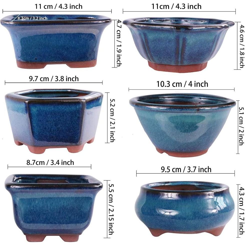 Macetas Bonsai MUZHI 6 Pack Esmaltadas 10 cm Azul