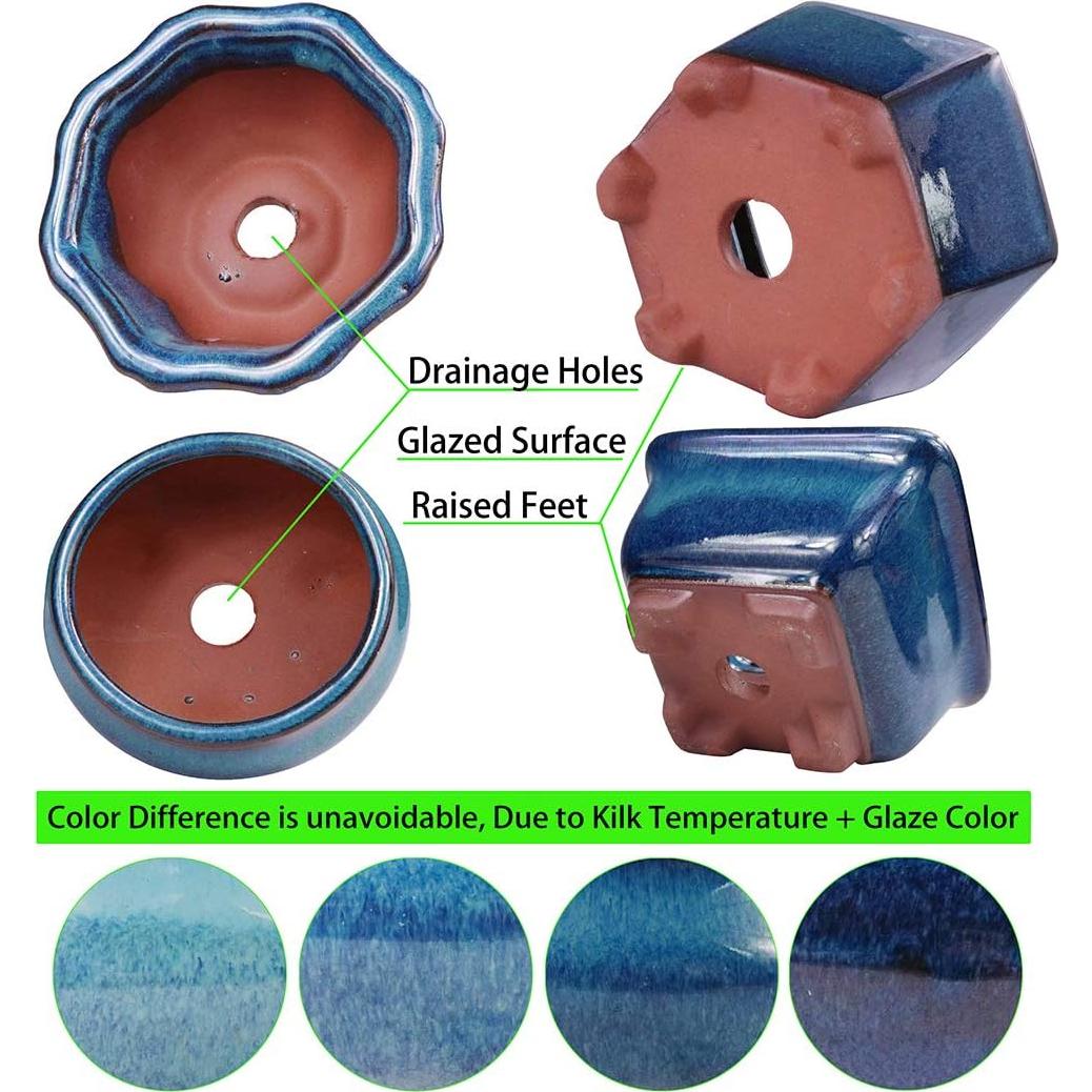 Macetas Bonsai MUZHI 6 Pack Esmaltadas 10 cm Azul