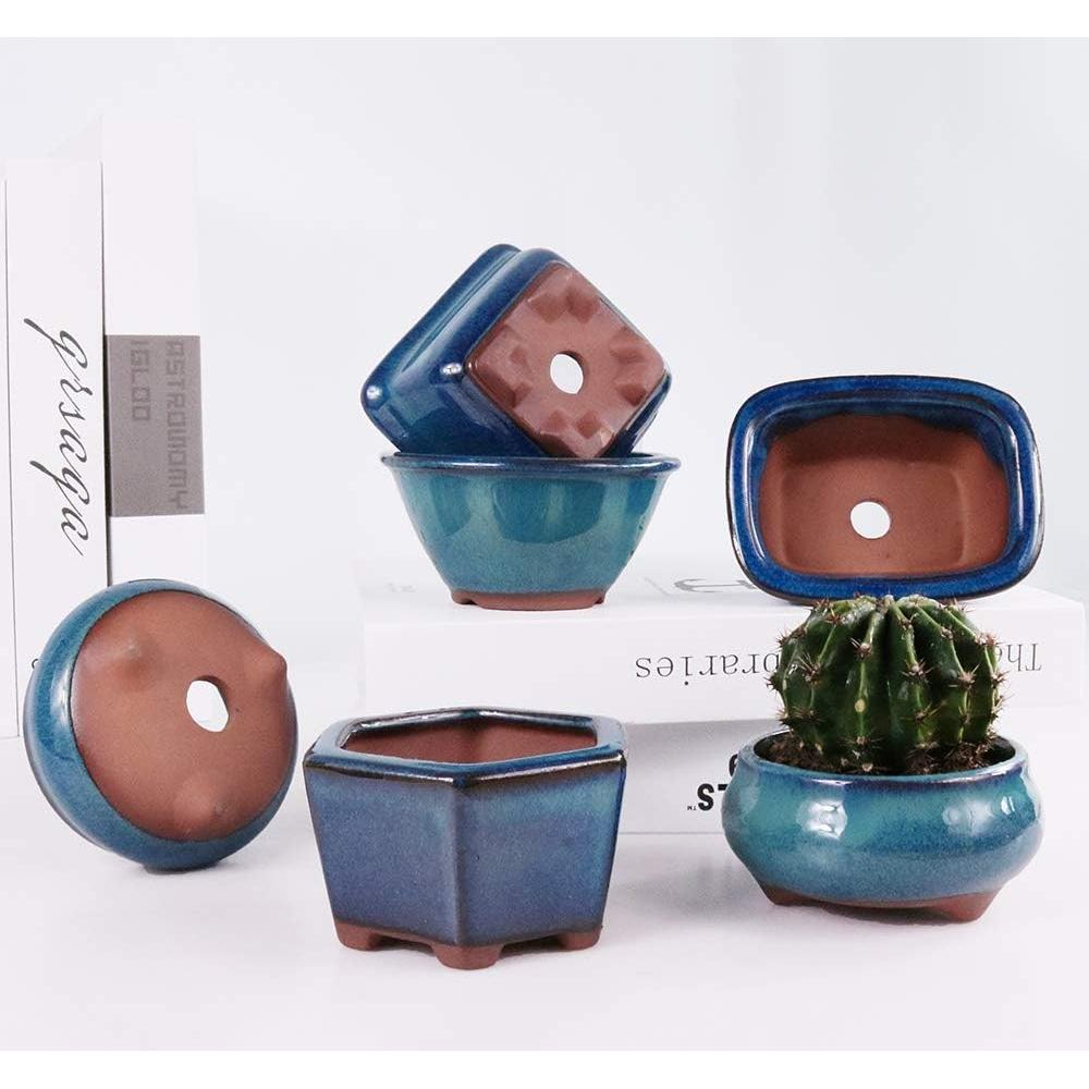 Macetas Bonsai MUZHI 6 Pack Esmaltadas 10 cm Azul