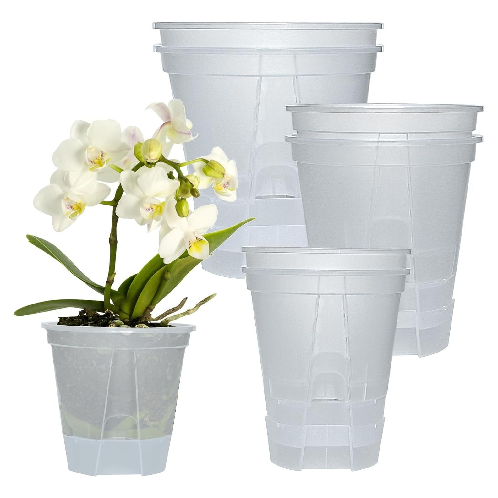 Juego de macetas autorriego Cdd's Path 6 piezas 12,7-17,8 cm