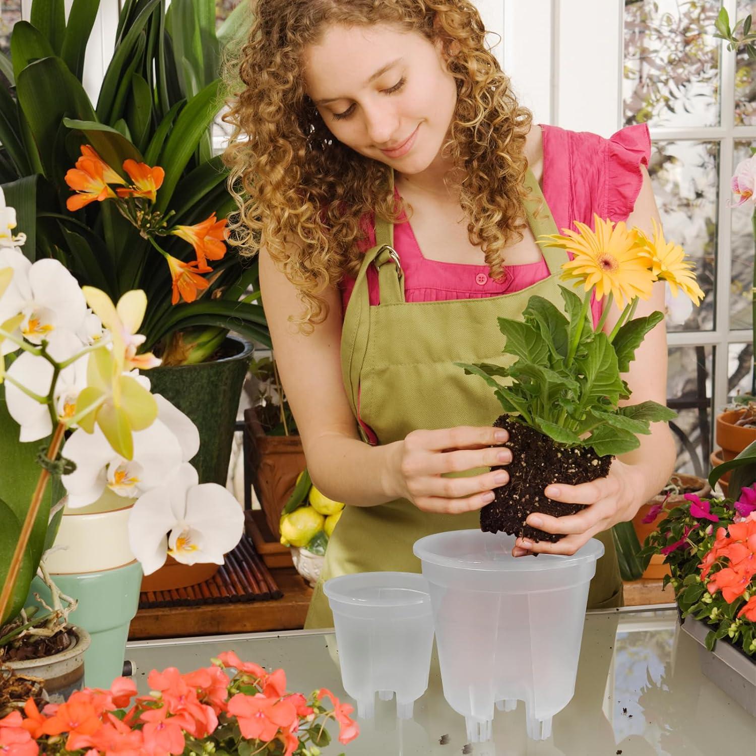 Juego de macetas autorriego Cdd's Path 6 piezas 12,7-17,8 cm