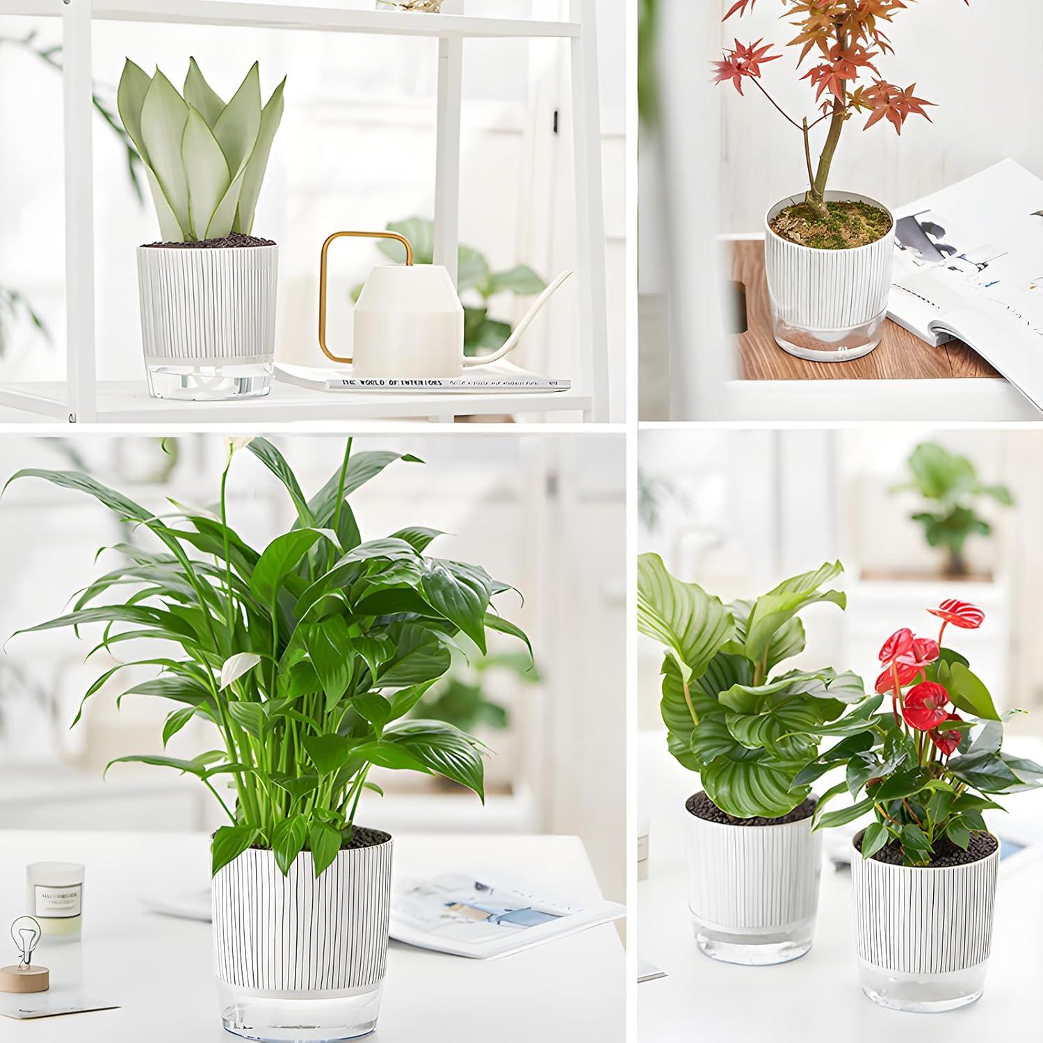 Juego de 4 macetas autorriego Samhe 10 y 14 cm para plantas