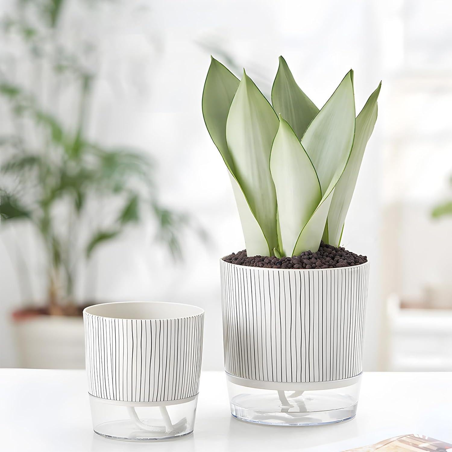 Juego de 4 macetas autorriego Samhe 10 y 14 cm para plantas