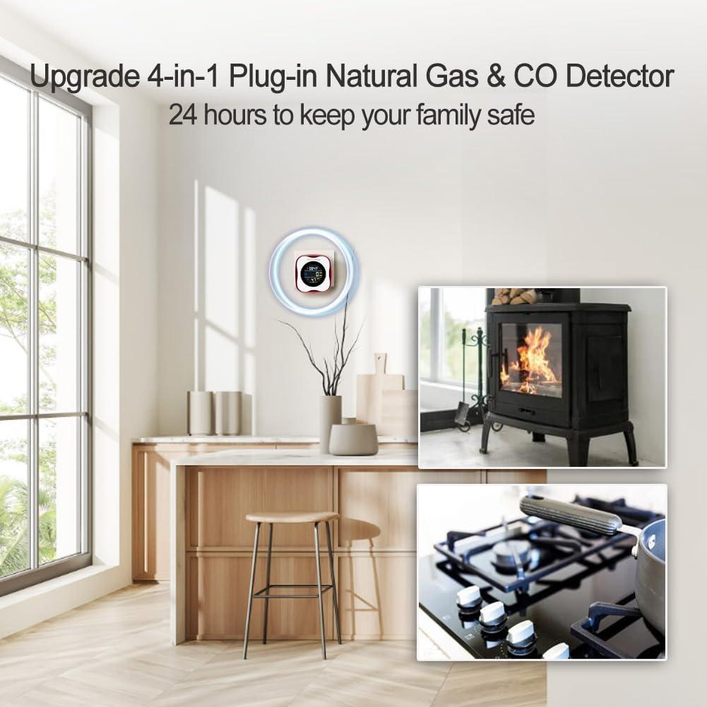 Detector de Monóxido de Carbono y Gas WESHLGD 4 en 1