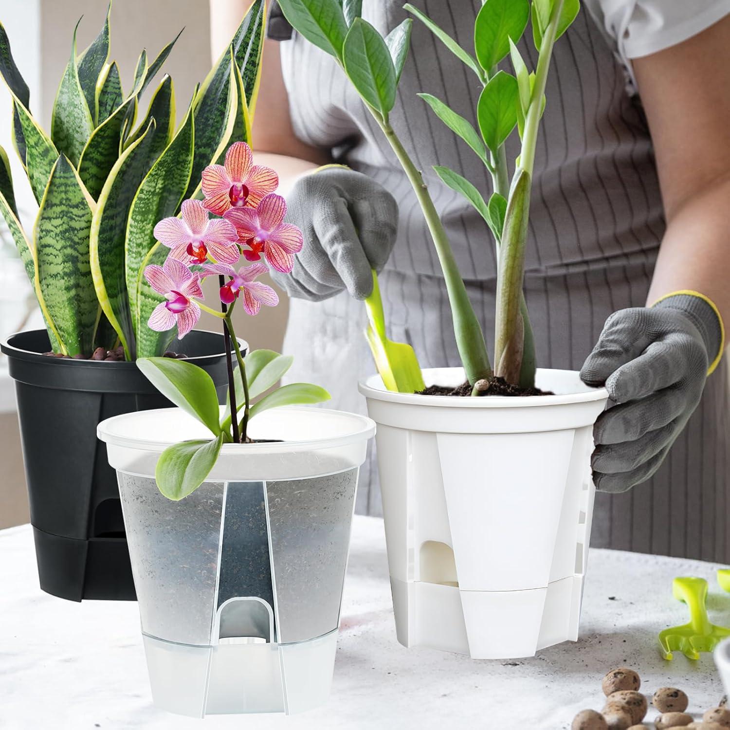 Macetas Autorriego IWNTWY Set de 5 Transparentes 15 cm