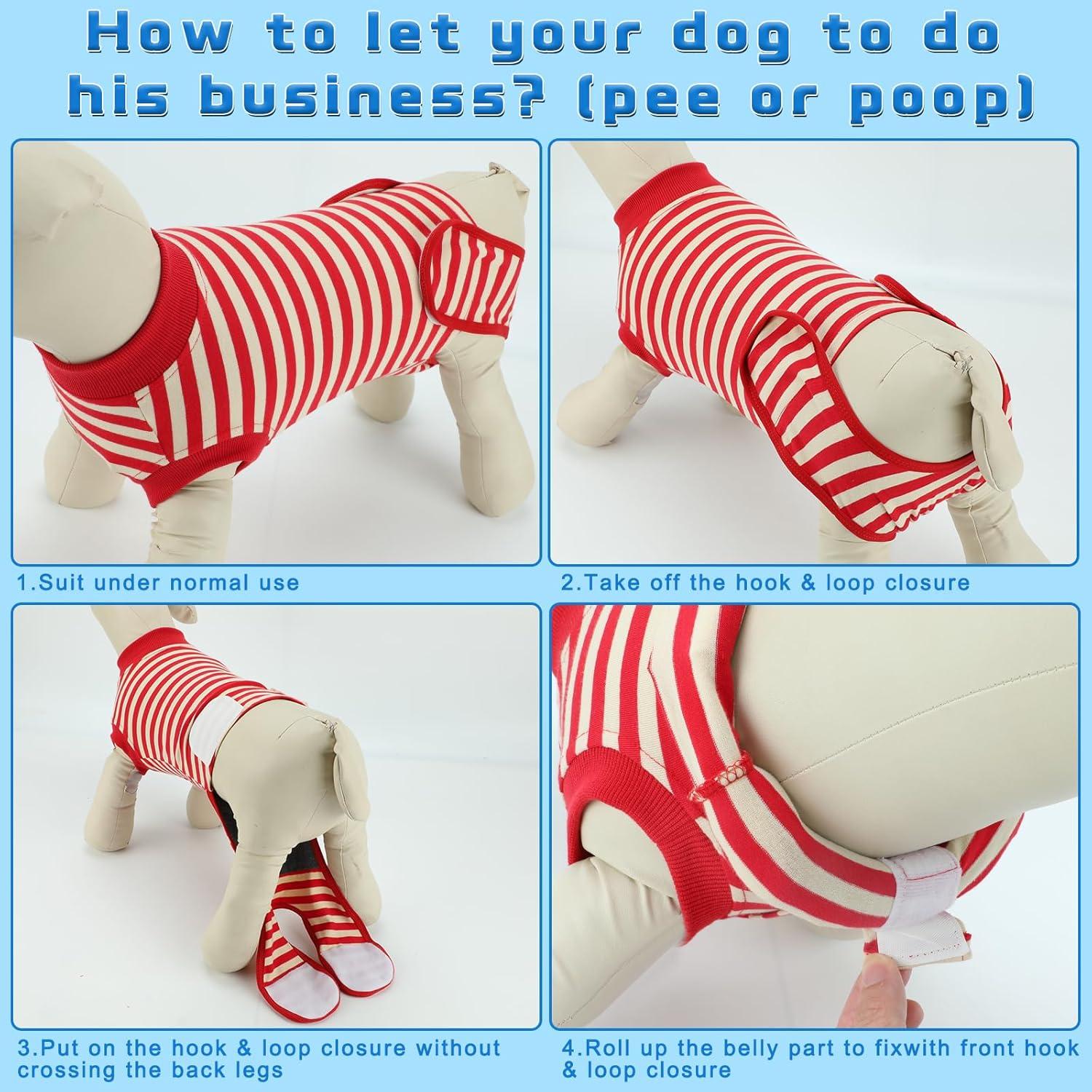 Traje de Recuperación para Perros QUEARN - 2 Piezas S Rayas