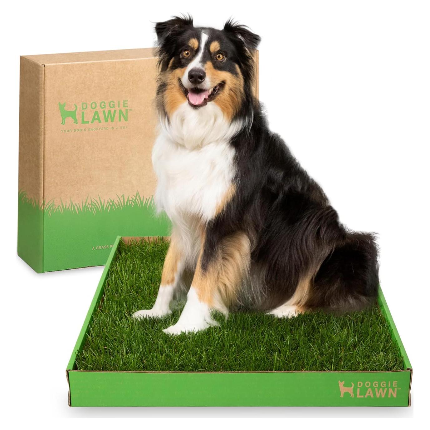 Almohadilla de Césped Real DoggieLawn 61x51 cm para Perros