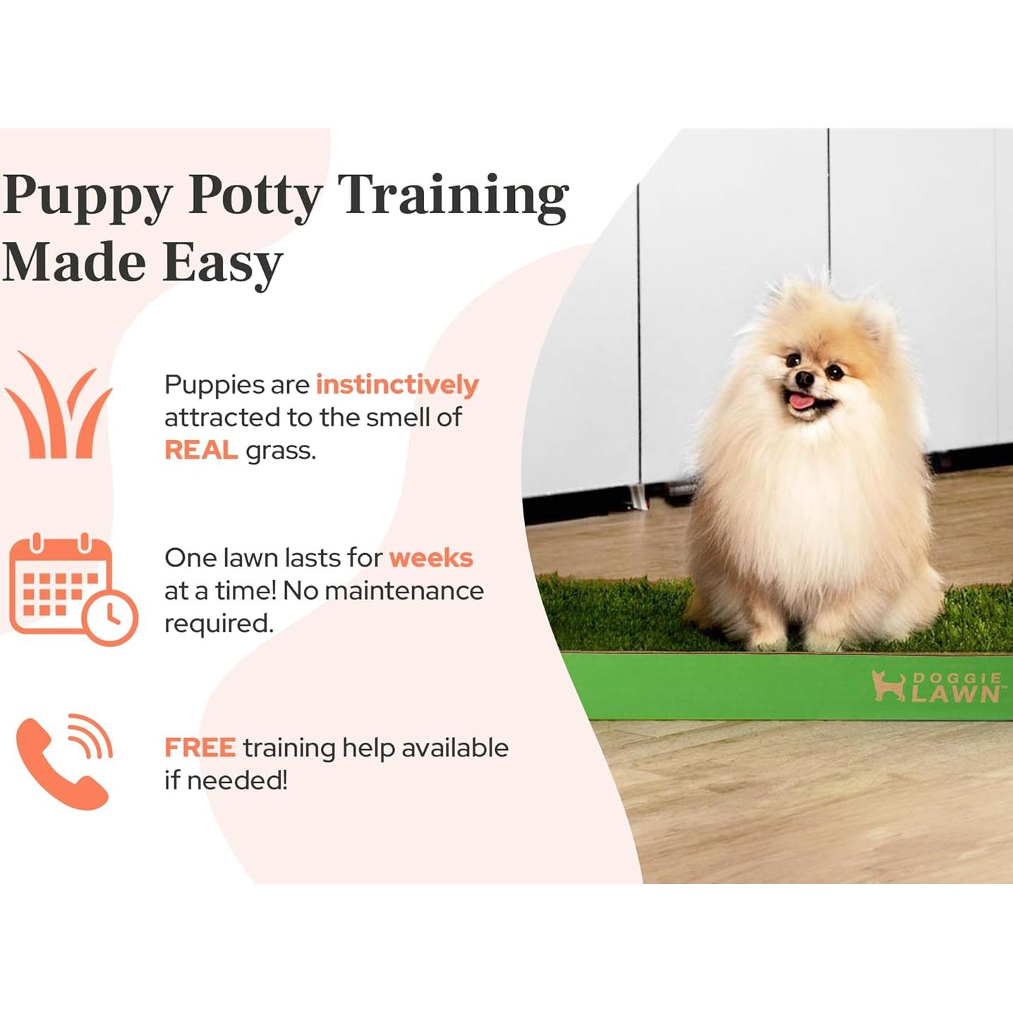 Almohadilla de Césped Real DoggieLawn 61x51 cm para Perros