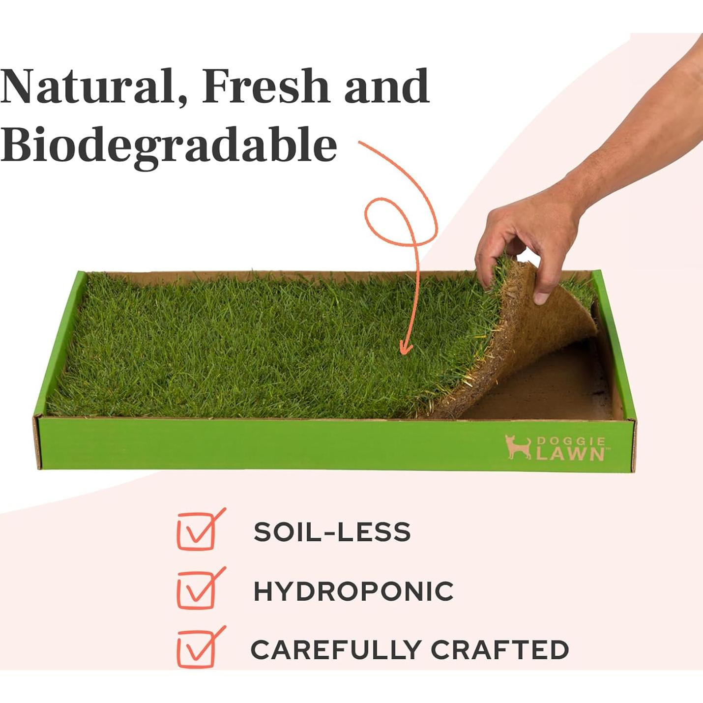 Almohadilla de Césped Real DoggieLawn 61x51 cm para Perros