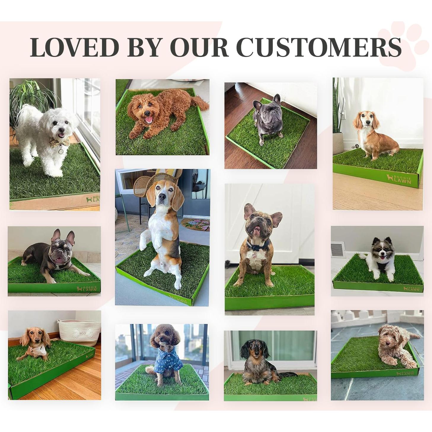 Almohadilla de Césped Real DoggieLawn 61x51 cm para Perros