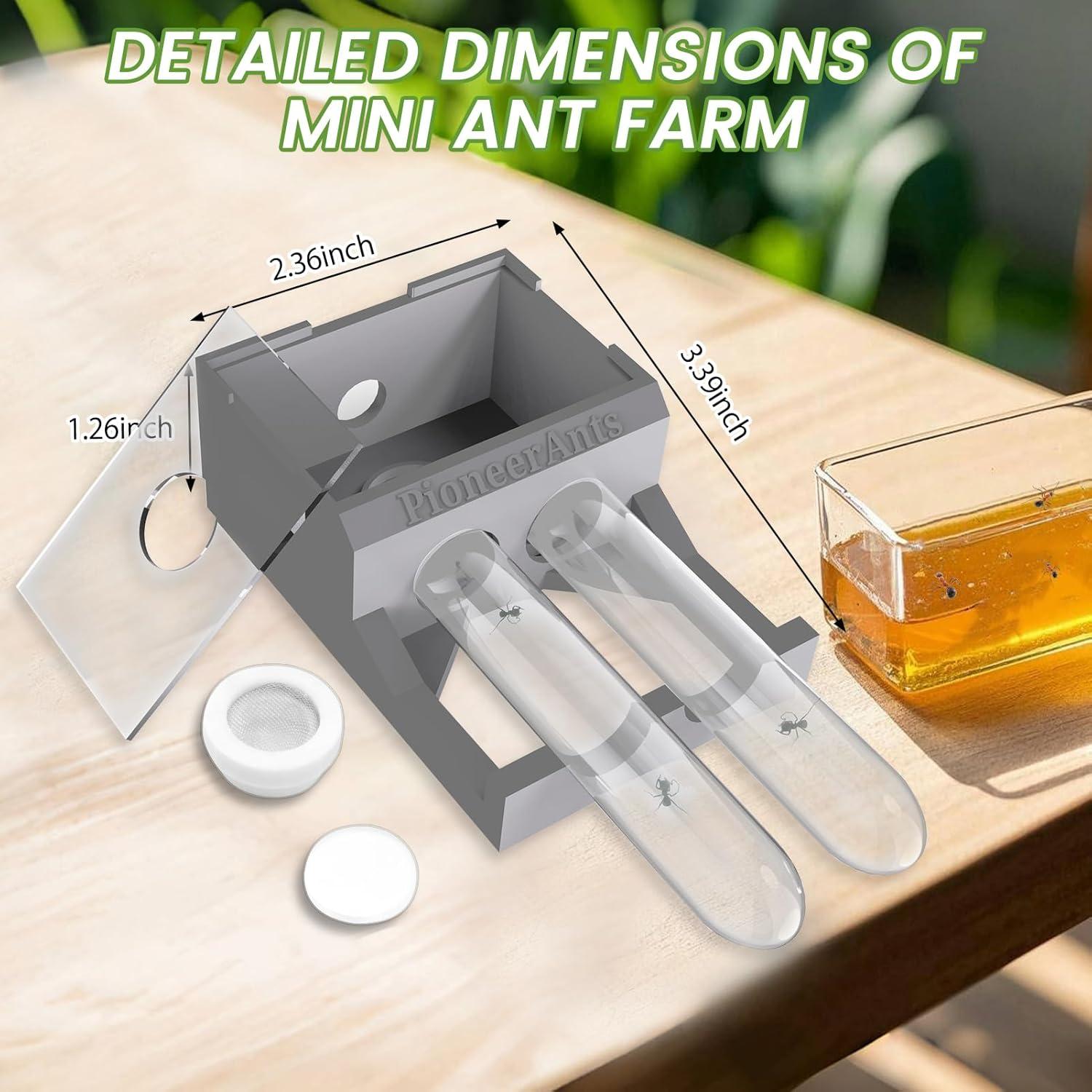Nido de Hormigas PioneerAnts con 2 Tubos de Ensayo