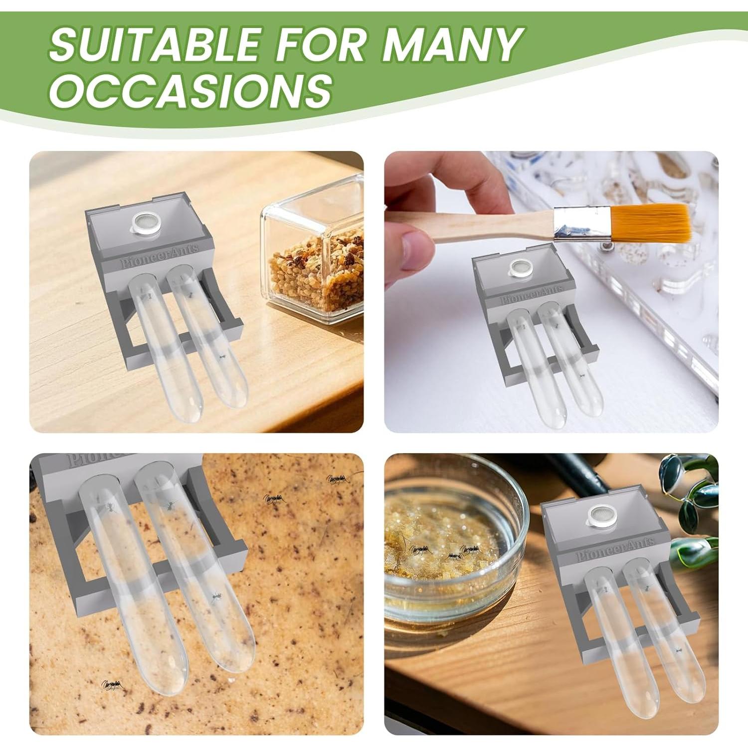 Nido de Hormigas PioneerAnts con 2 Tubos de Ensayo