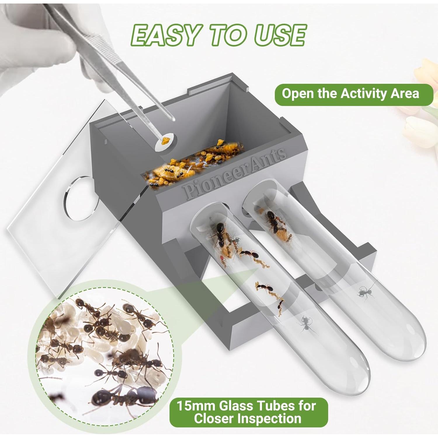 Nido de Hormigas PioneerAnts con 2 Tubos de Ensayo