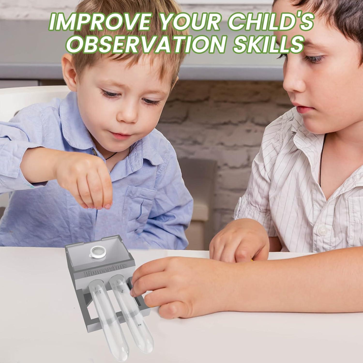 Nido de Hormigas PioneerAnts con 2 Tubos de Ensayo