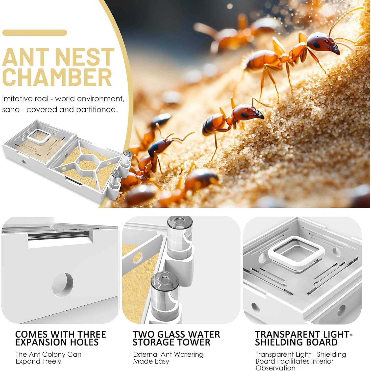 Granja de Hormigas PioneerAnts Modelo-D con Arena Amarilla