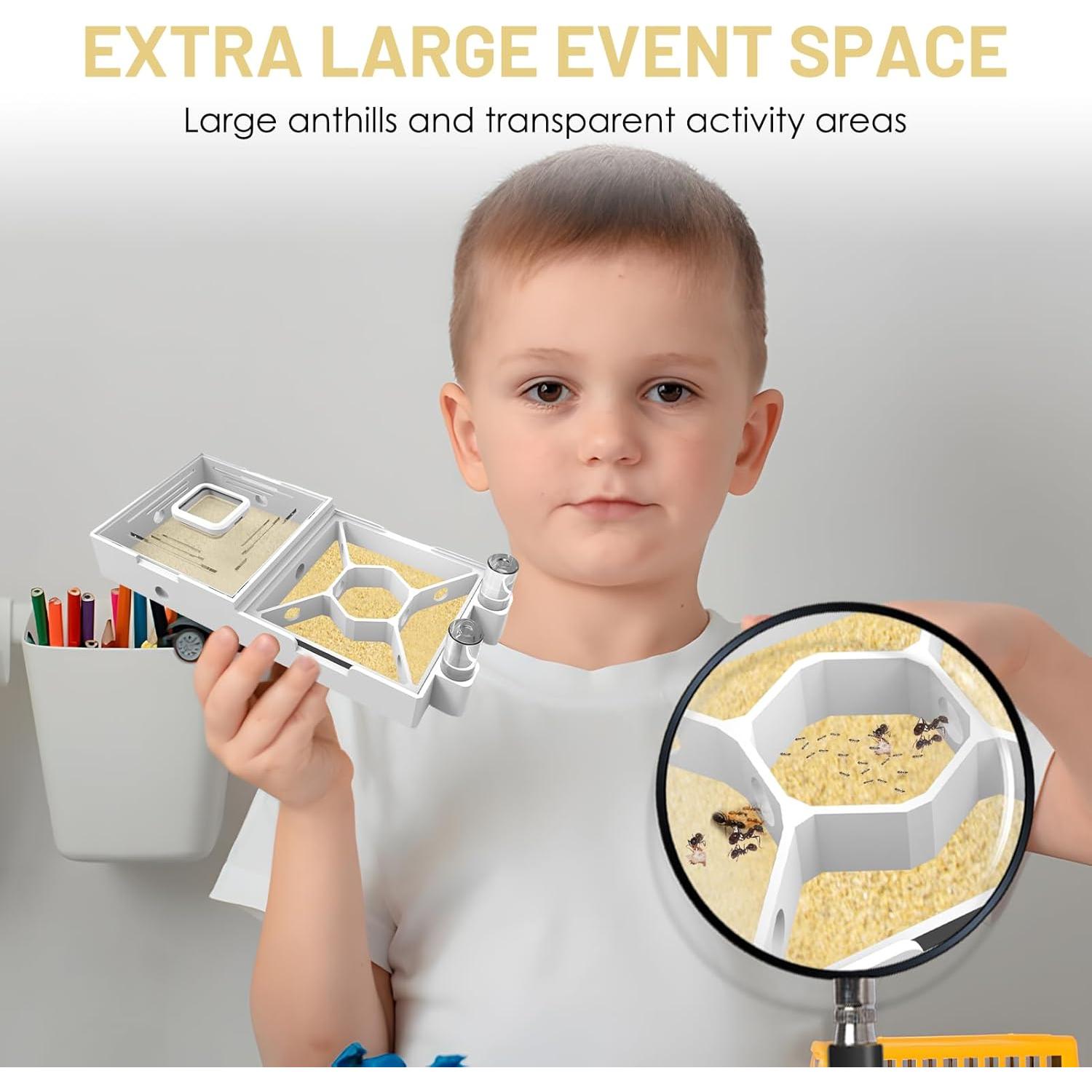 Granja de Hormigas PioneerAnts Modelo-D con Arena Amarilla