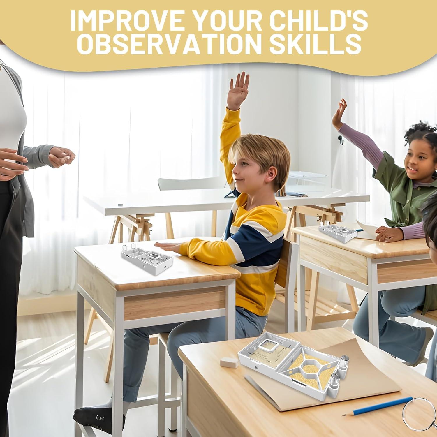 Granja de Hormigas PioneerAnts Modelo-D con Arena Amarilla