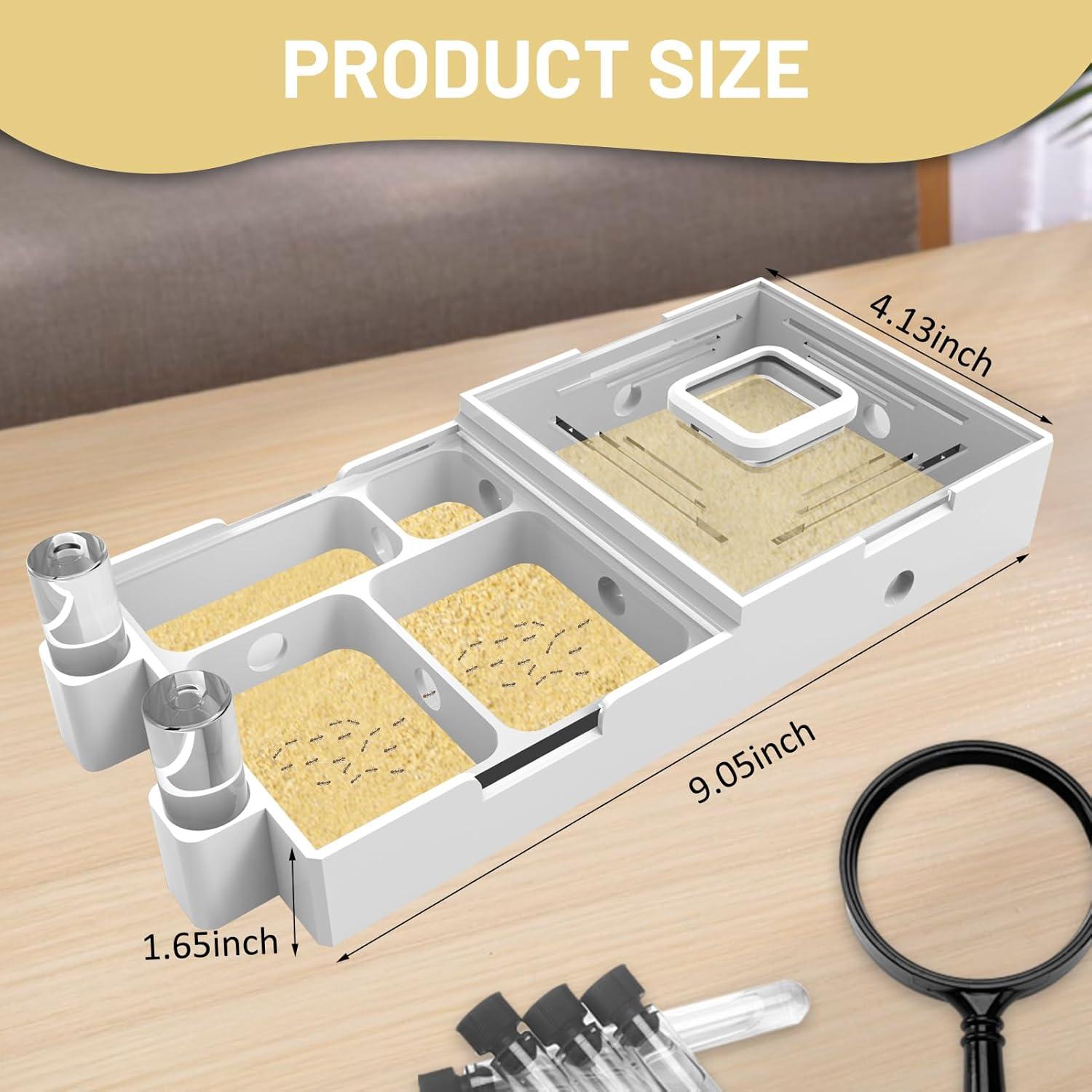 Granja de Nidos para Hormigas PioneerAnts Modelo-B 0.25 kg