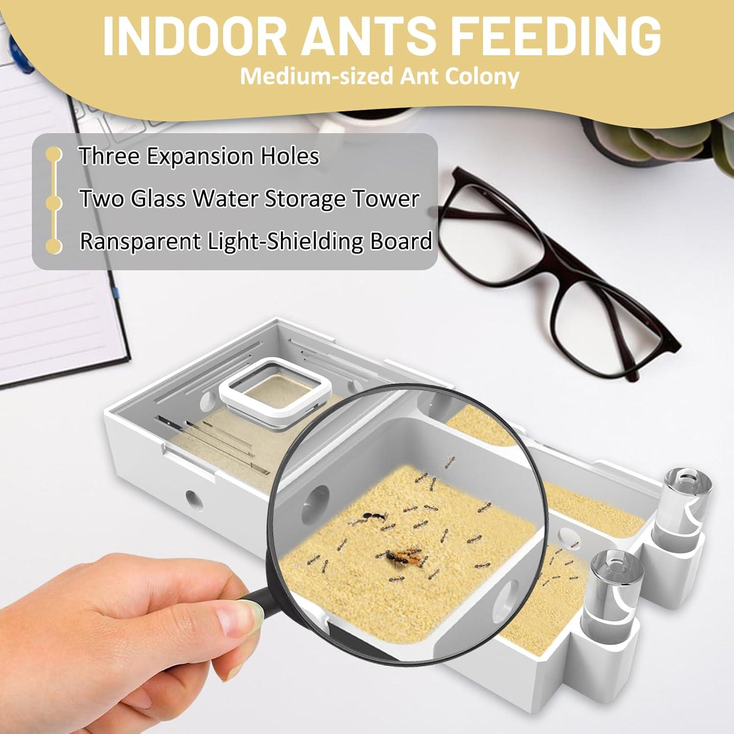 Granja de Nidos para Hormigas PioneerAnts Modelo-B 0.25 kg