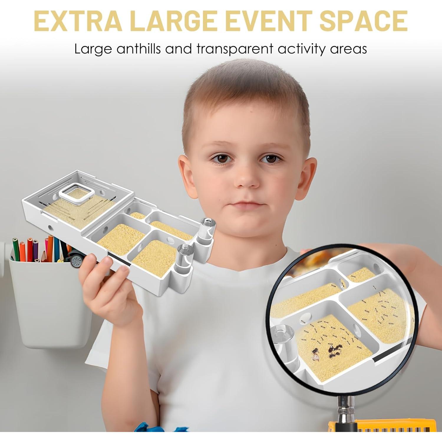 Granja de Nidos para Hormigas PioneerAnts Modelo-B 0.25 kg