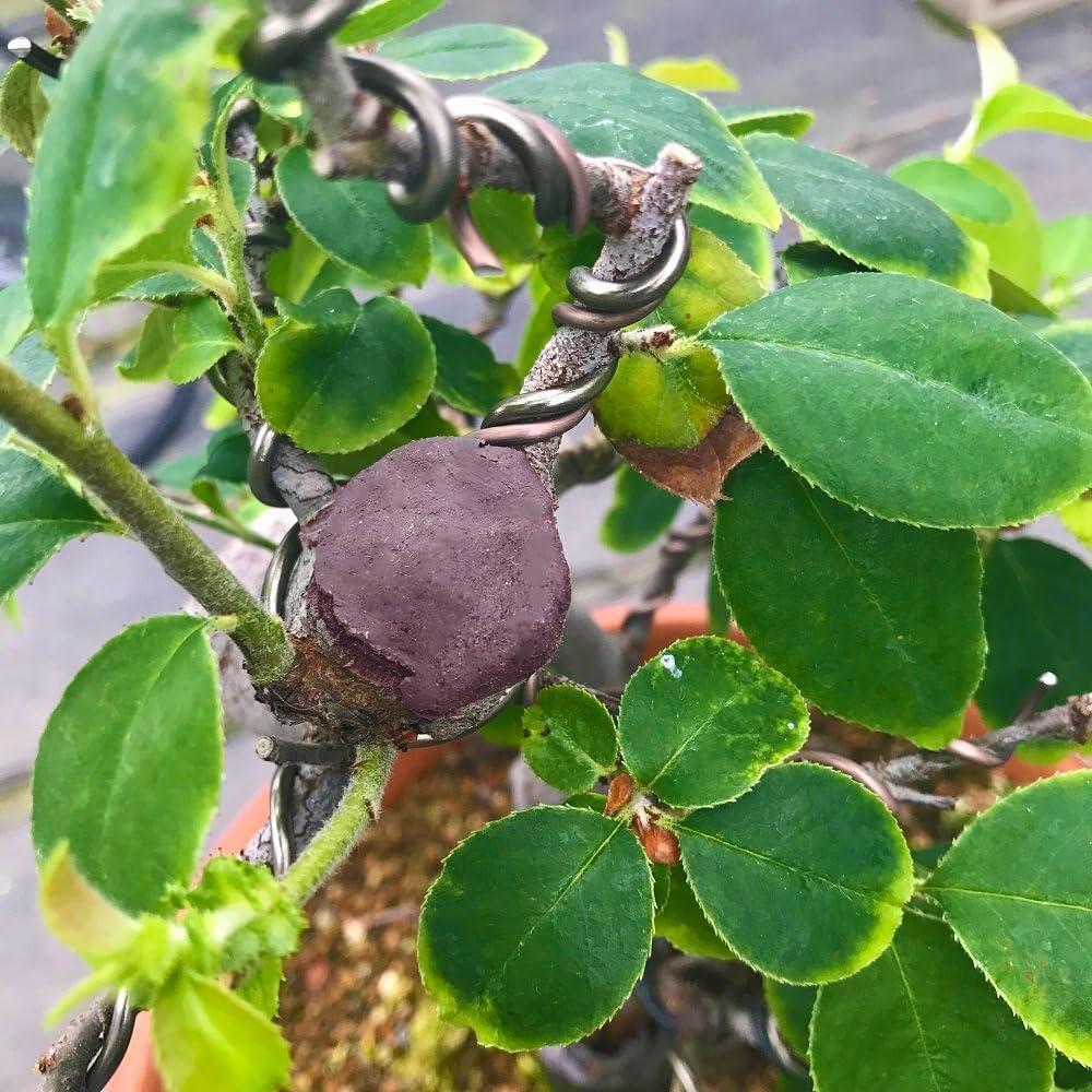 Herramienta de Corte y Pegado CUTPASTER 190g Bonsai Marrón