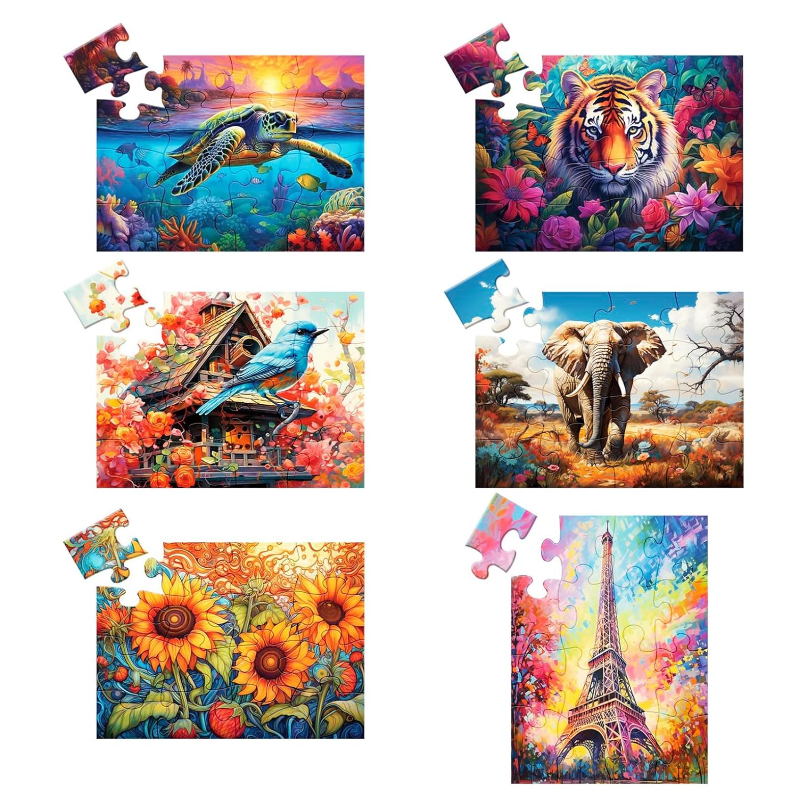 Paquete de 6 rompecabezas grandes WSCXSC 16 piezas para ancianos