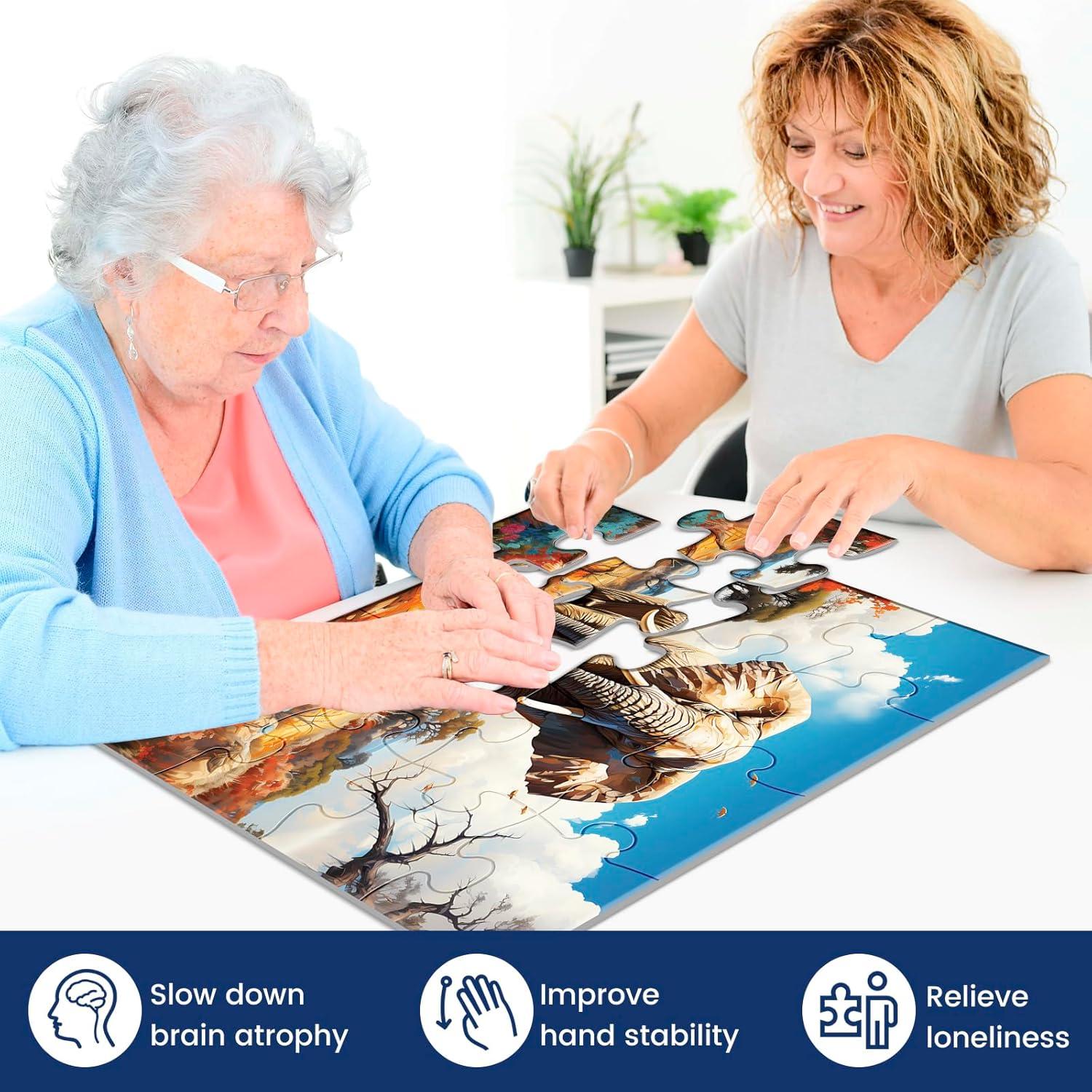 Paquete de 6 rompecabezas grandes WSCXSC 16 piezas para ancianos