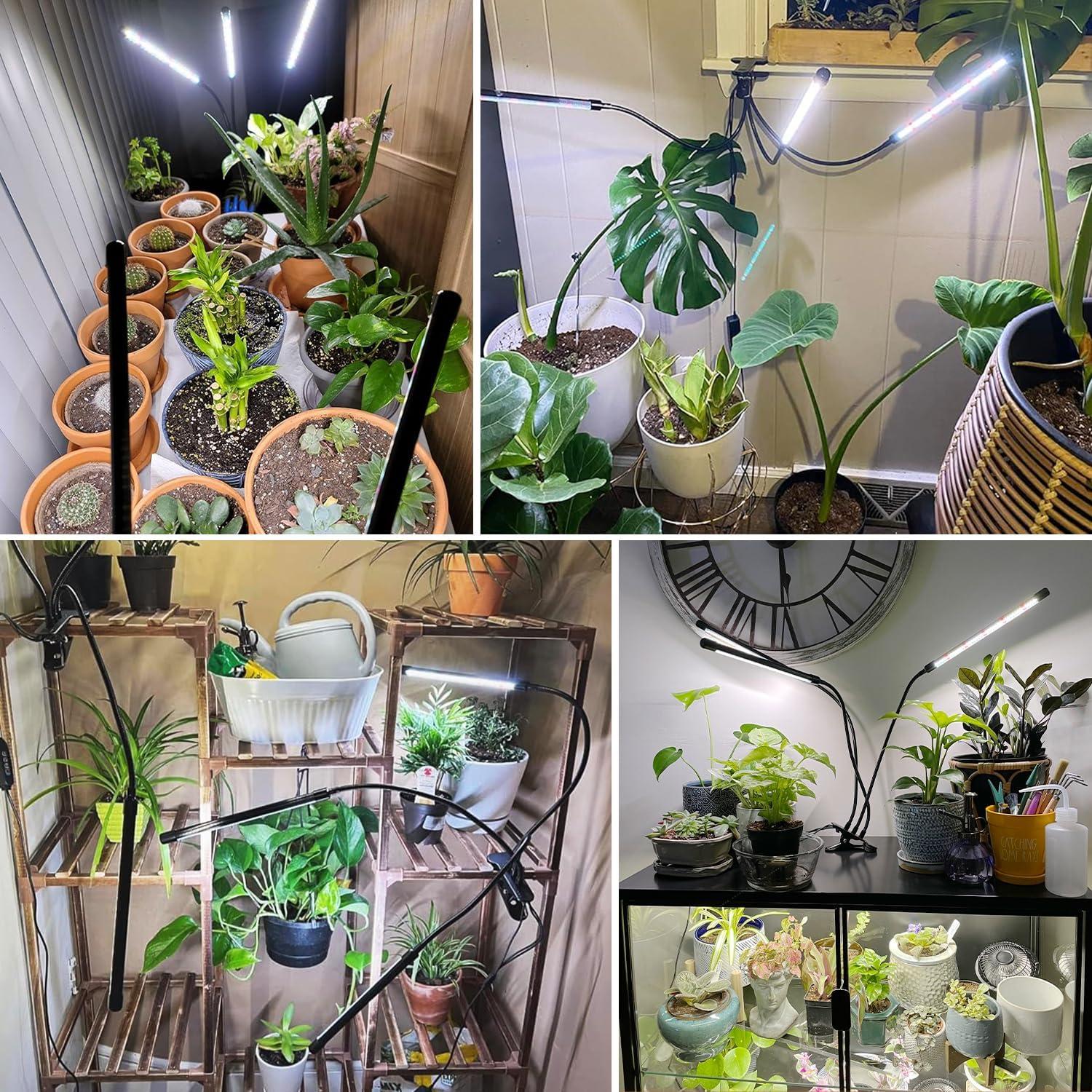 Luces de Crecimiento Wolezek 2 Paquetes 6000K LED Espectro Completo