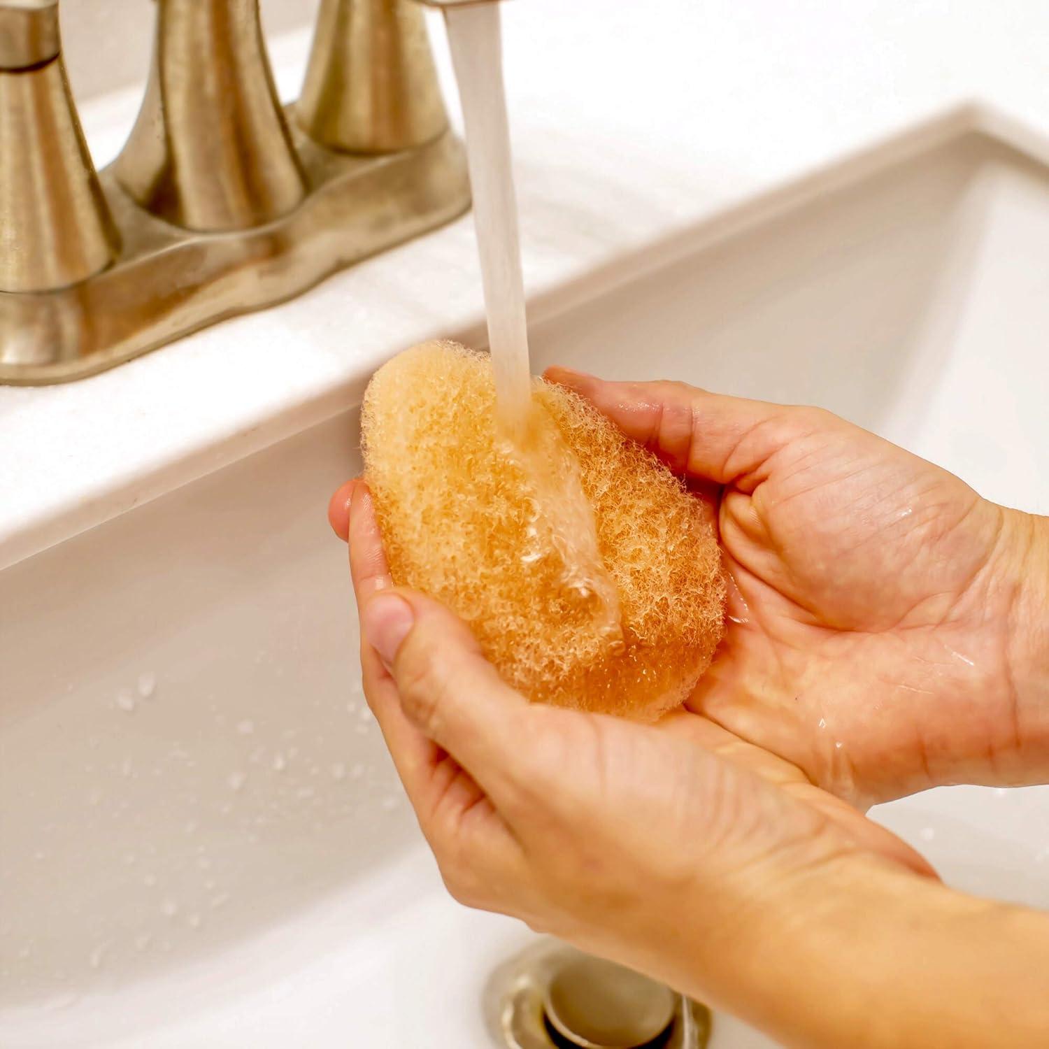 Esponjas Faciales Exfoliantes Impresa - Paquete de 10 Unidades