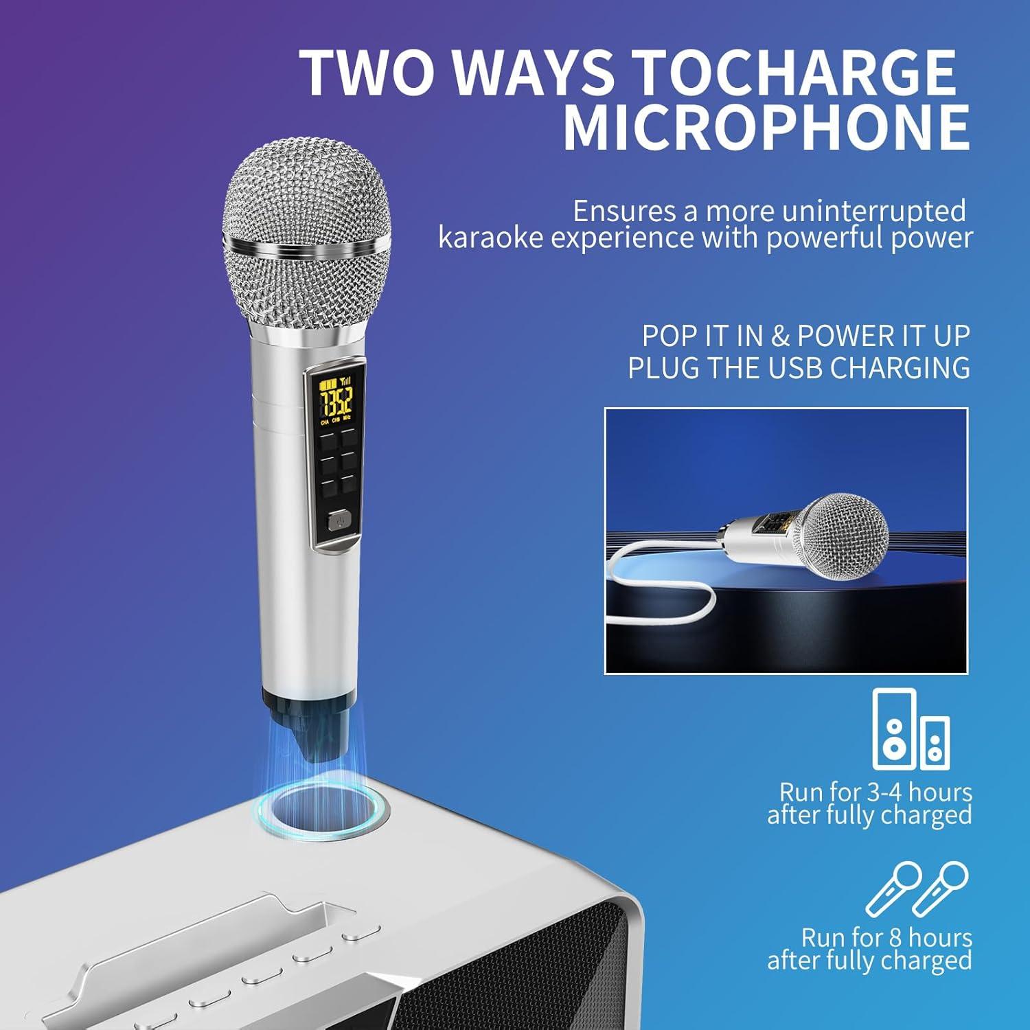 Máquina de Karaoke LSMOEO SD-317 con 2 Micrófonos UHF