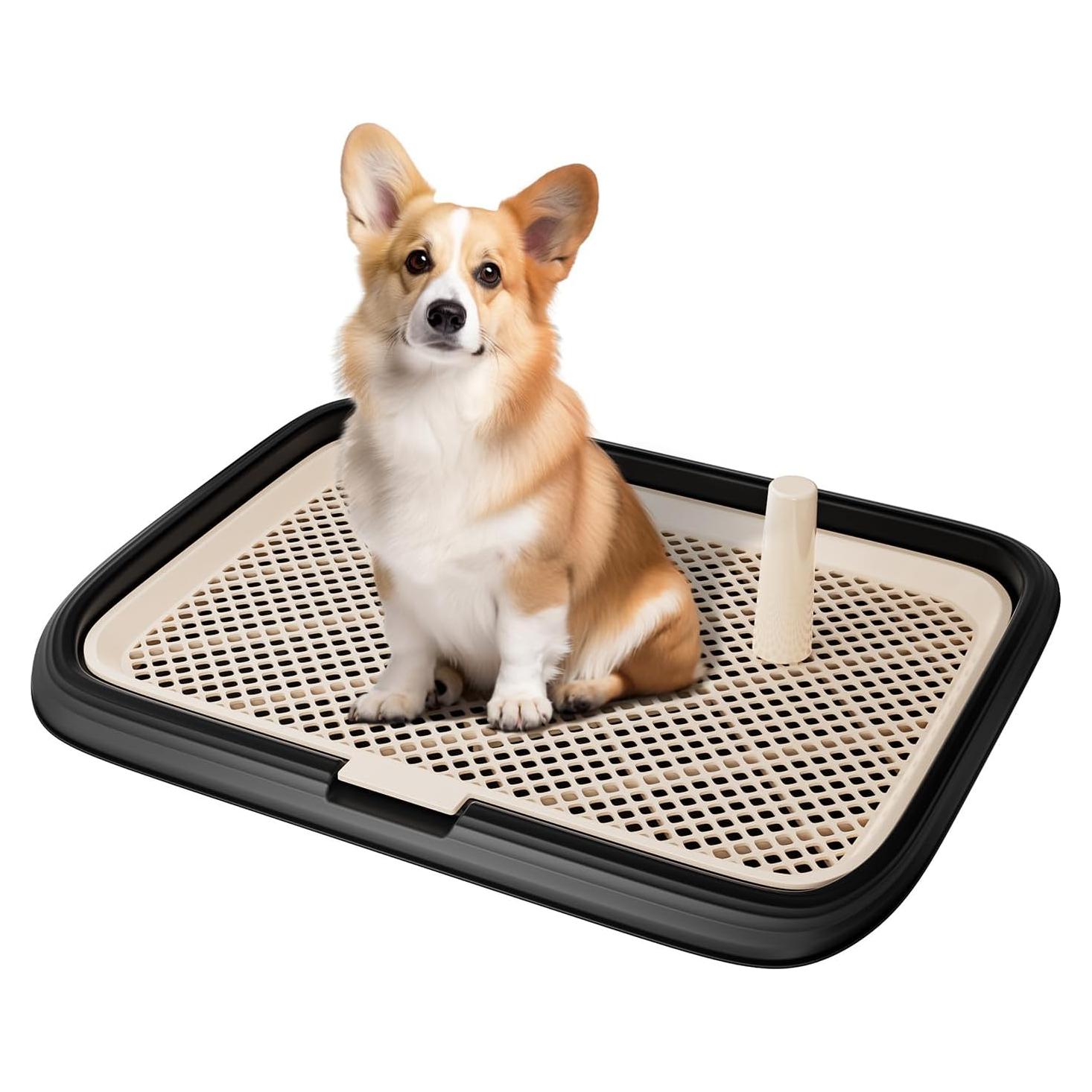 Bandeja para Orinar Perro KOLA PANDA 60x45cm Negro