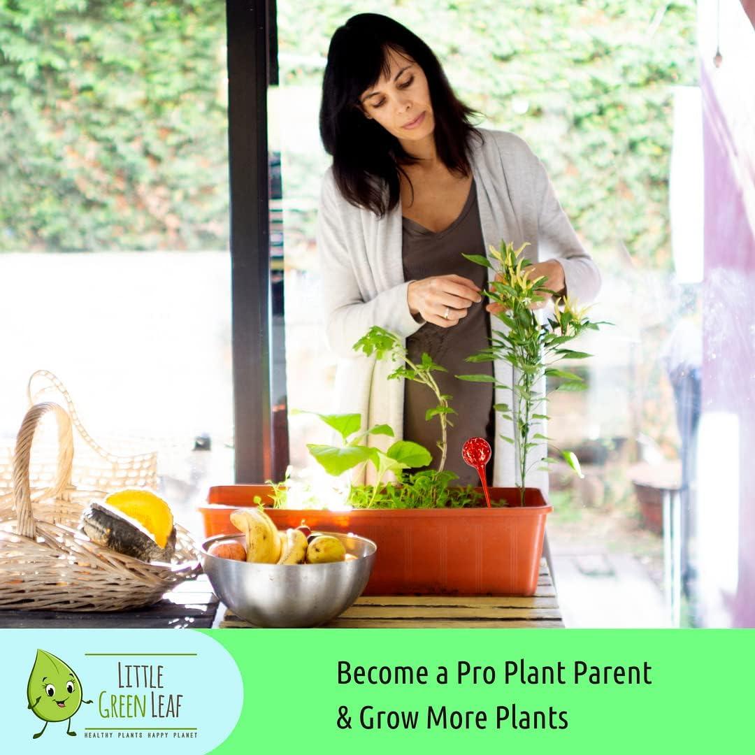 Esferas de Riego Automático LGL - 4 Piezas de Vidrio