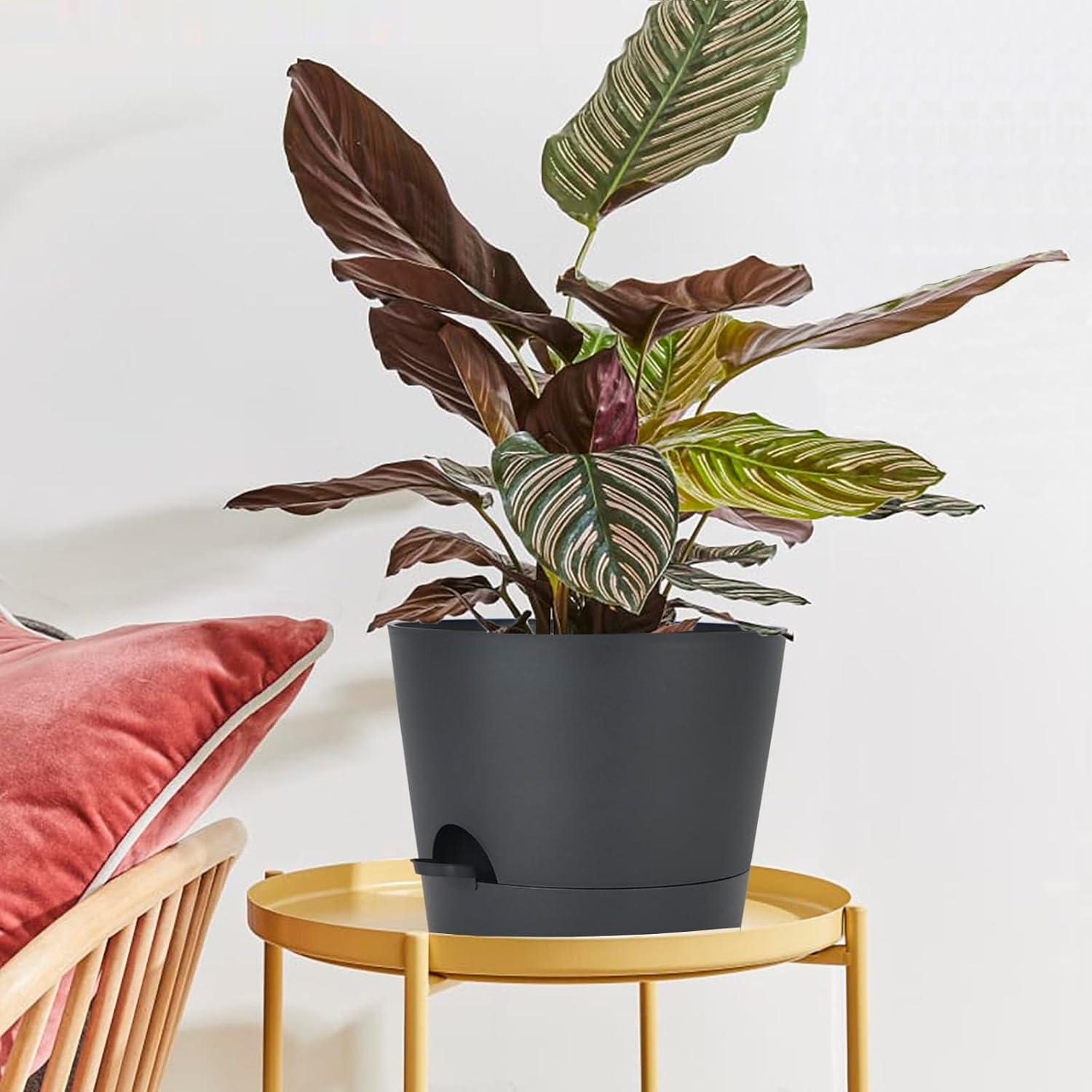 Maceta Autorriego SwinDuck 30cm con Reservorio 1,77L