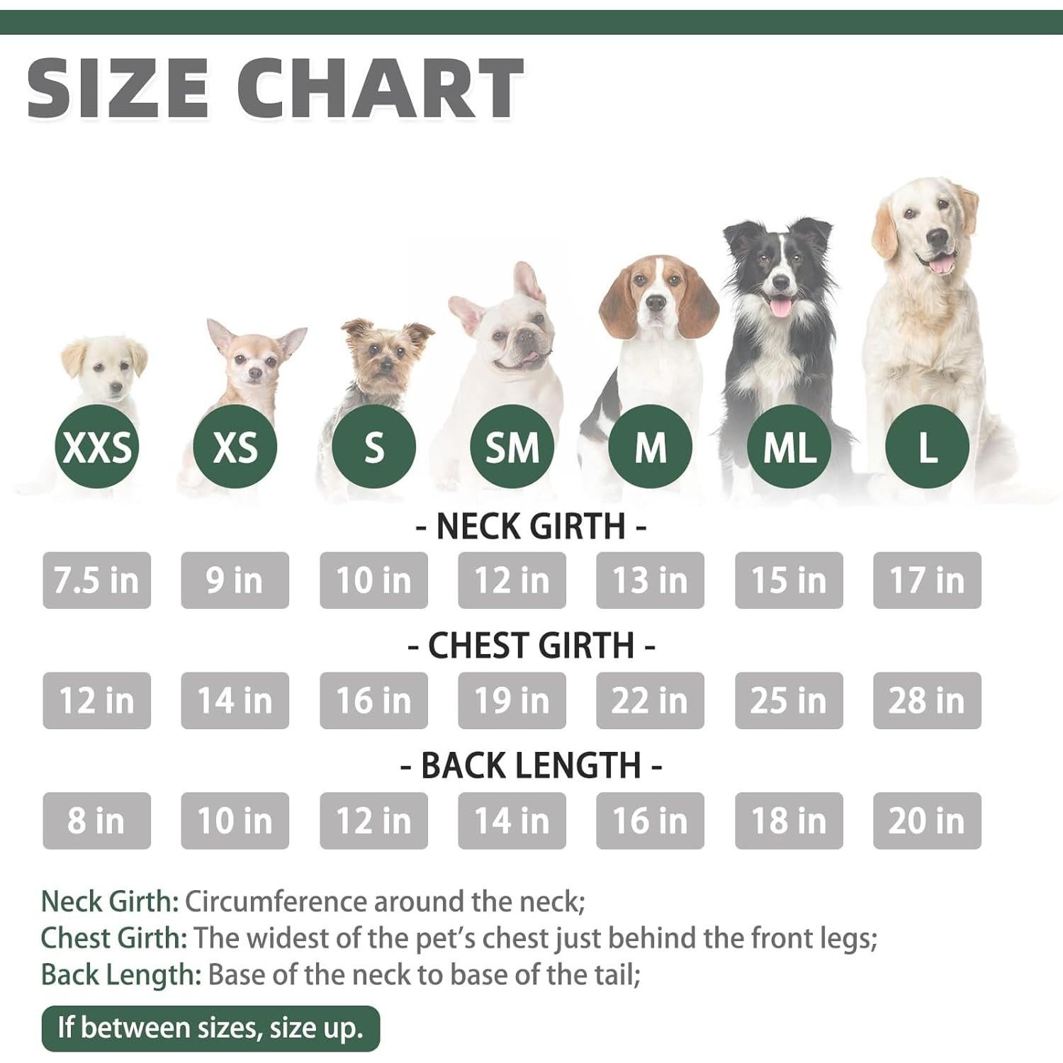 Sudadera para Perros KOOLTAIL Verde con Gorra y Bolsillo