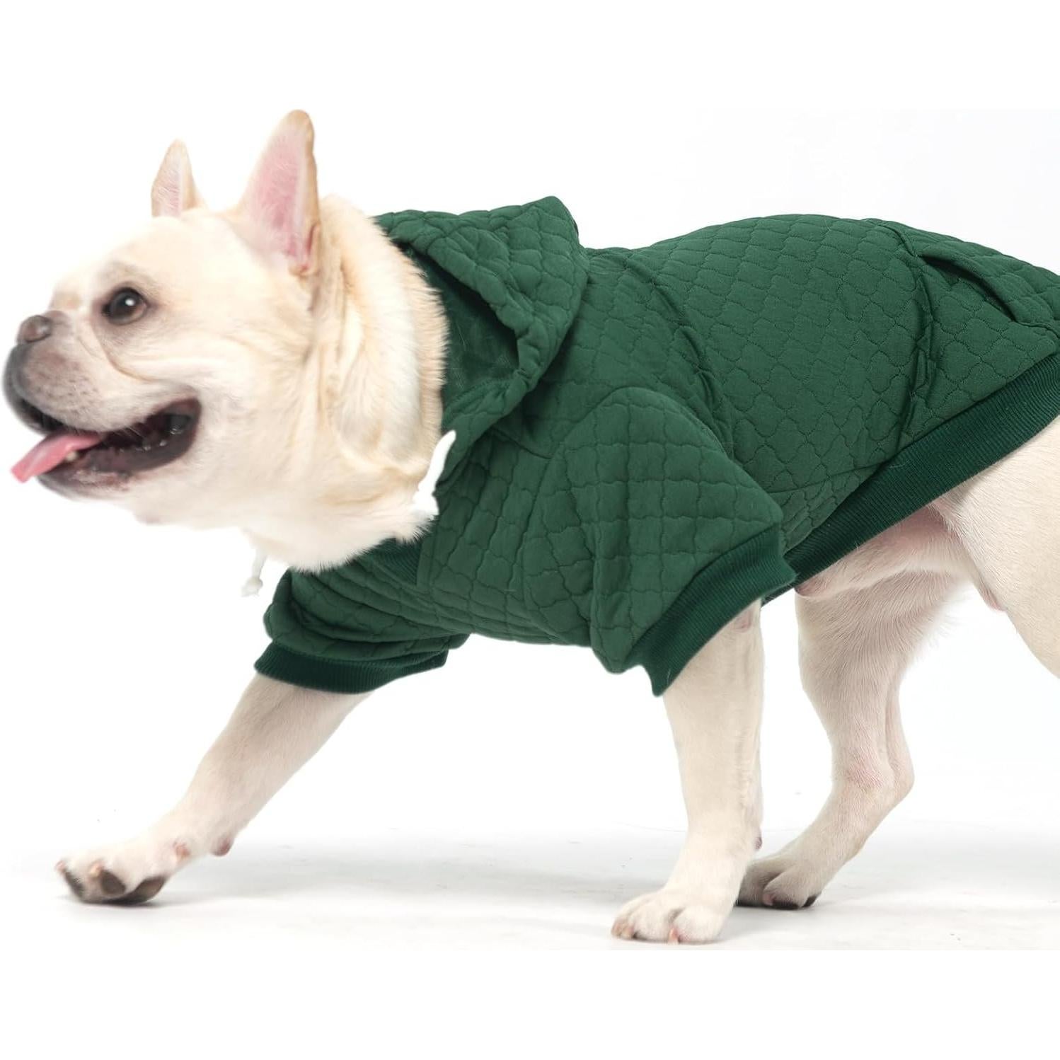 Sudadera para Perros KOOLTAIL Verde con Gorra y Bolsillo