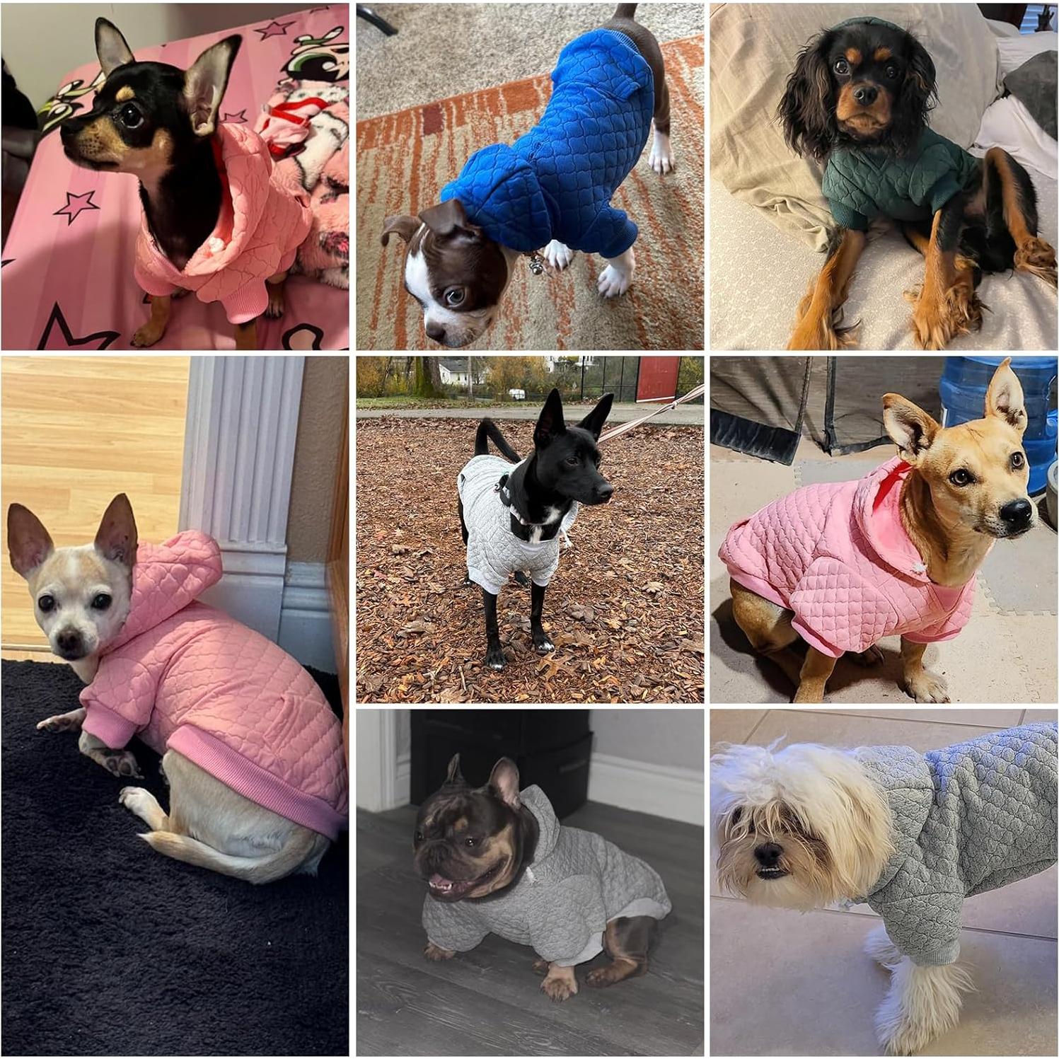 Sudadera para Perros KOOLTAIL Verde con Gorra y Bolsillo