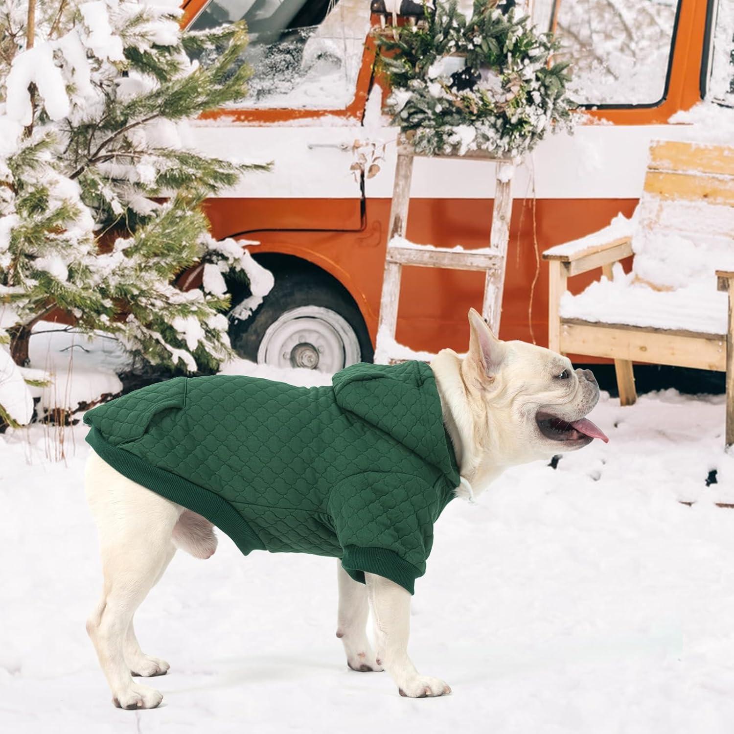 Sudadera para Perros KOOLTAIL Verde con Gorra y Bolsillo