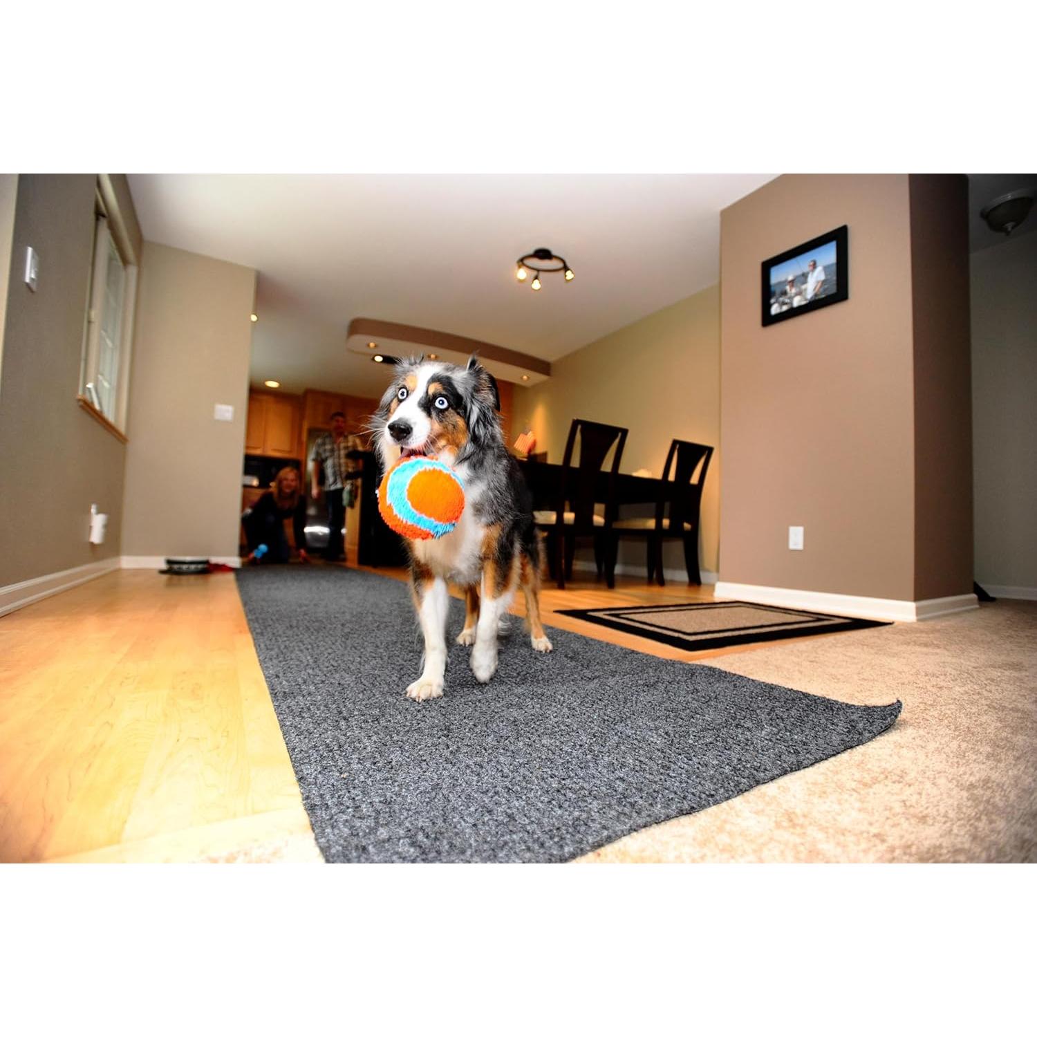 Chuckit! Pelota de Fetch Interior 12 cm Naranja y Azul