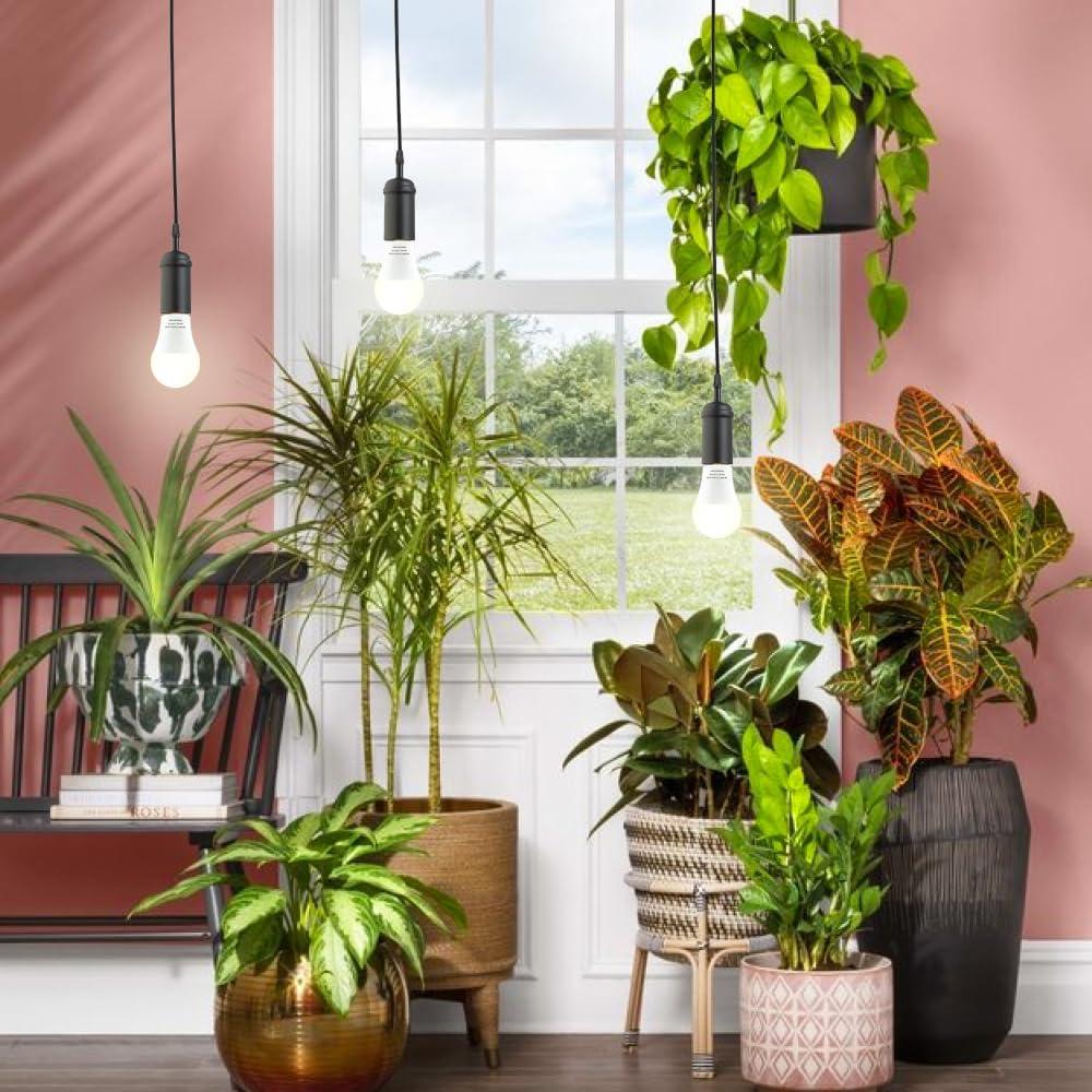 Paquete de 2 bombillas LED A19 mfxmf 9W Espectro Completo