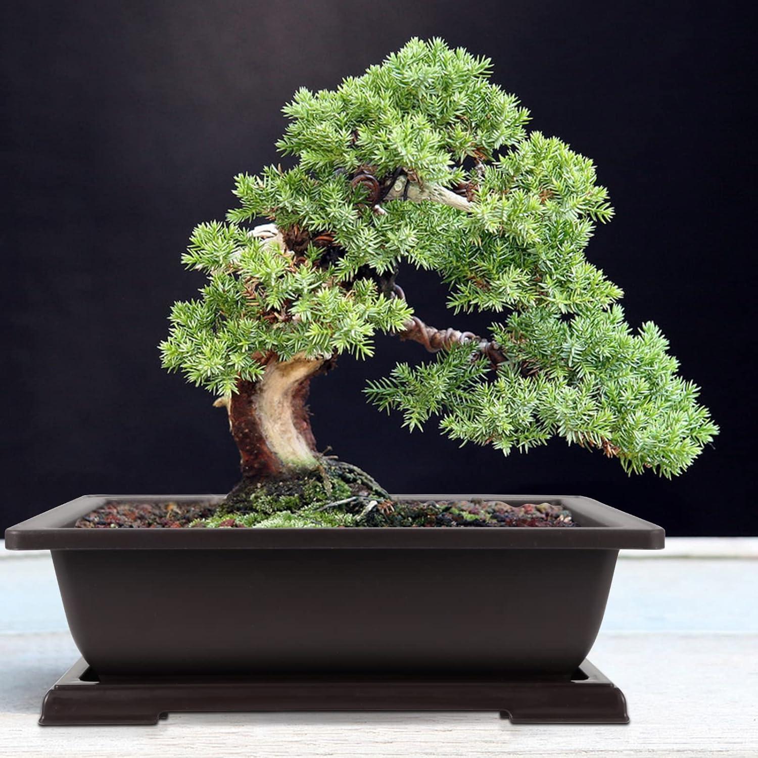 Macetas de Bonsái JEUIHAU 4 Piezas 28.5x21.6cm Plástico