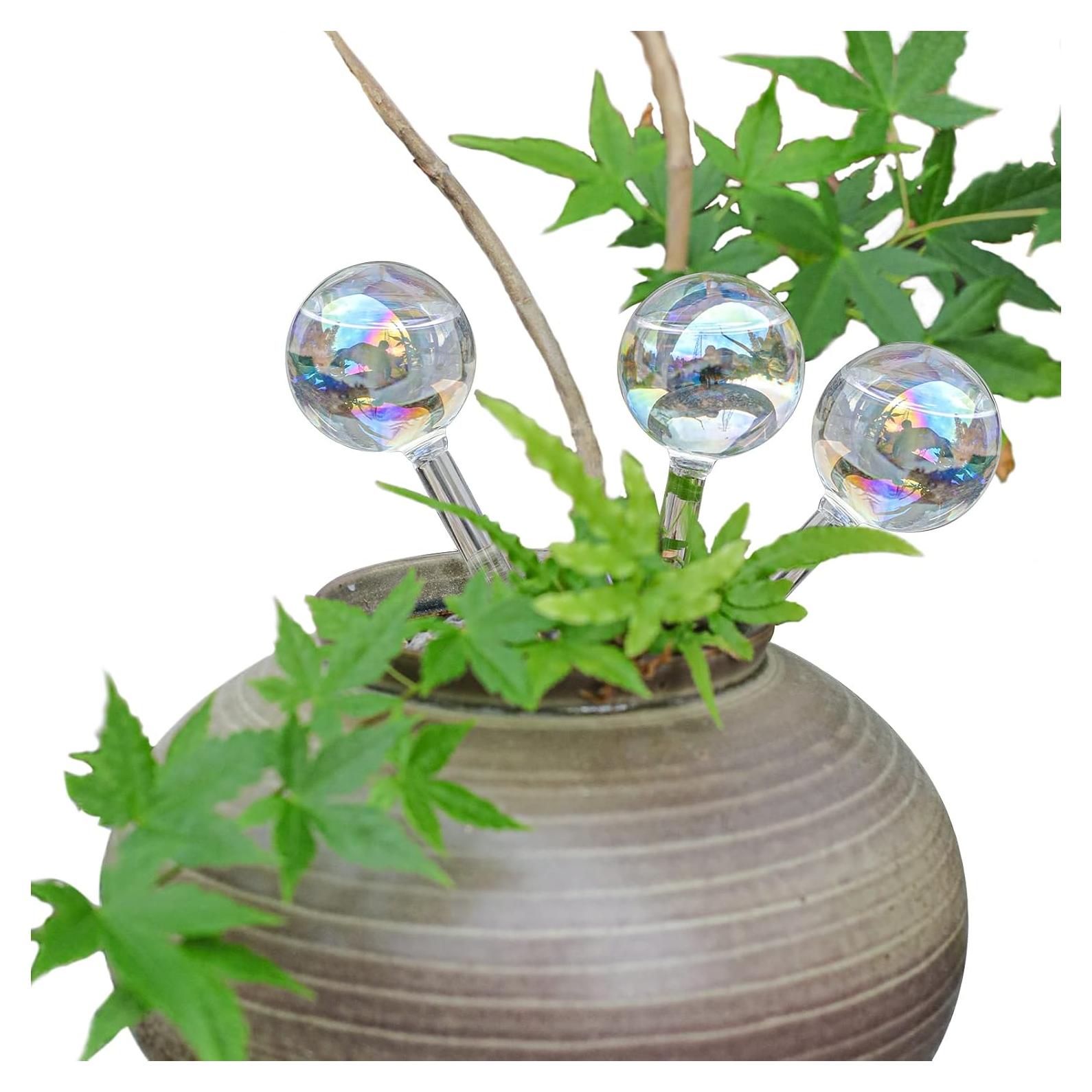 3 Esferas de Riego Automáticas de Vidrio zHzHGuo 110ml