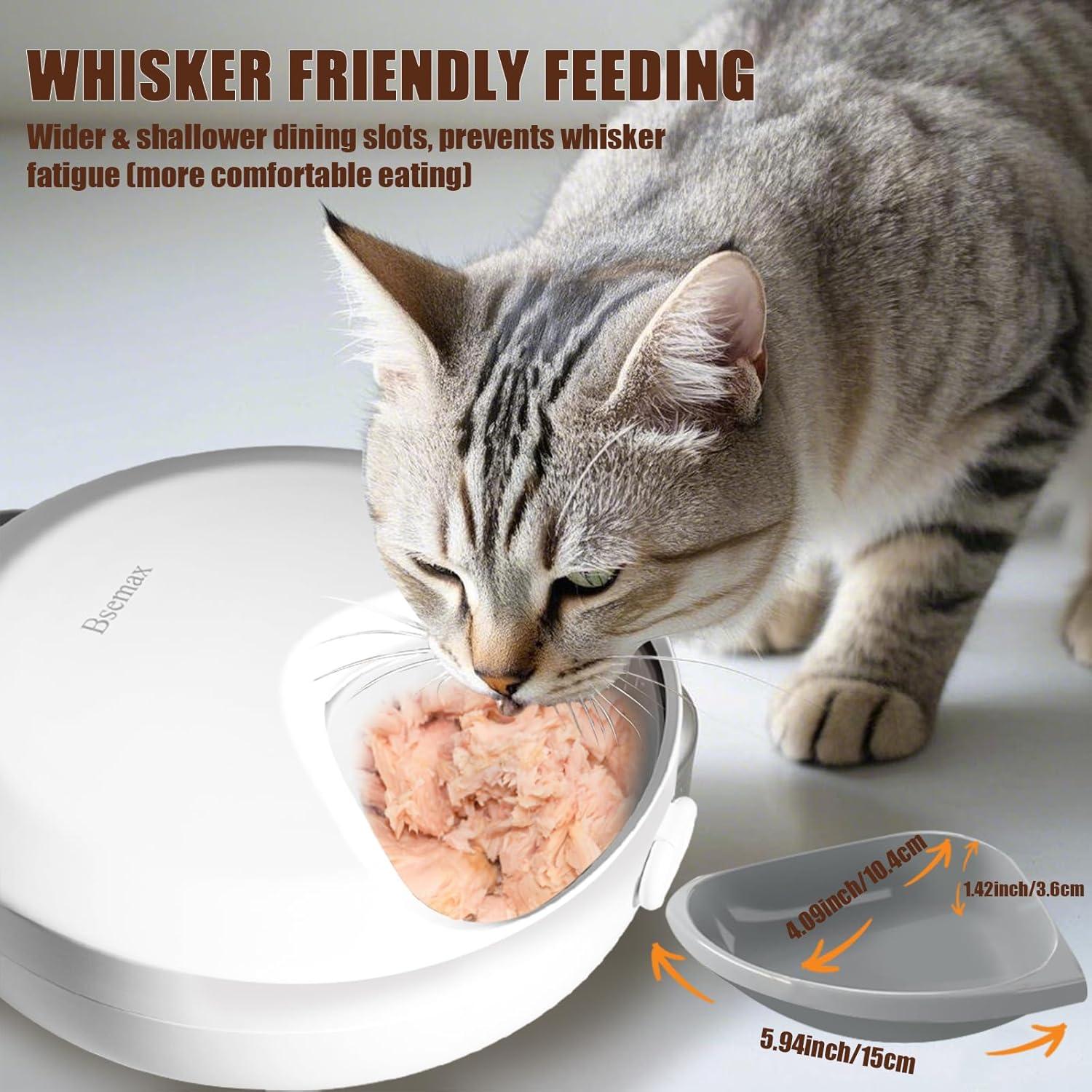 Dispensador Automático de Comida para Gatos Bsemax 4 Comidas