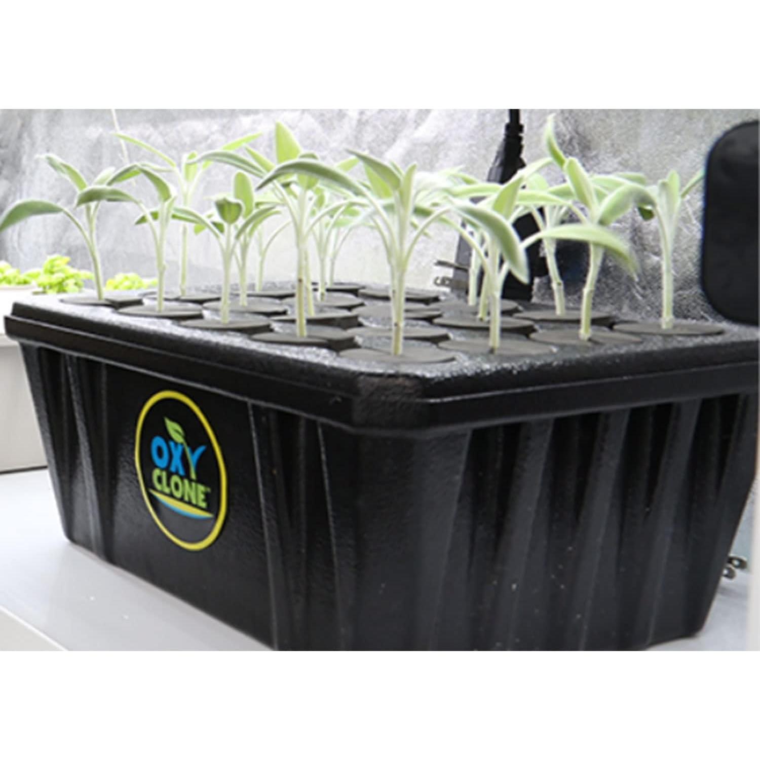 Sistema de Clonación Hydrofarm OX20SYS 20 Sitios Hidropónico