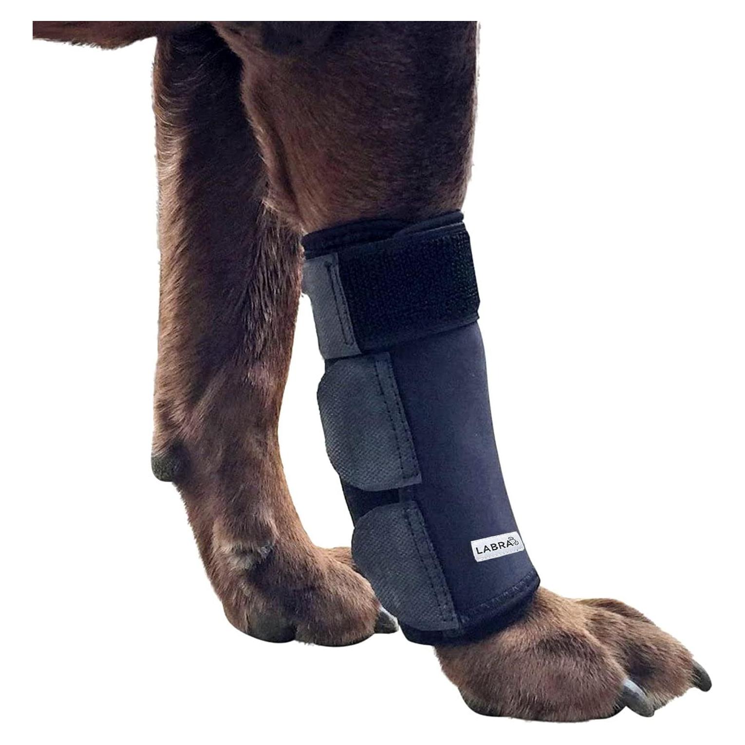 Manga de Compresión para Pierna Delantera Labra - Pequeño/Mediado