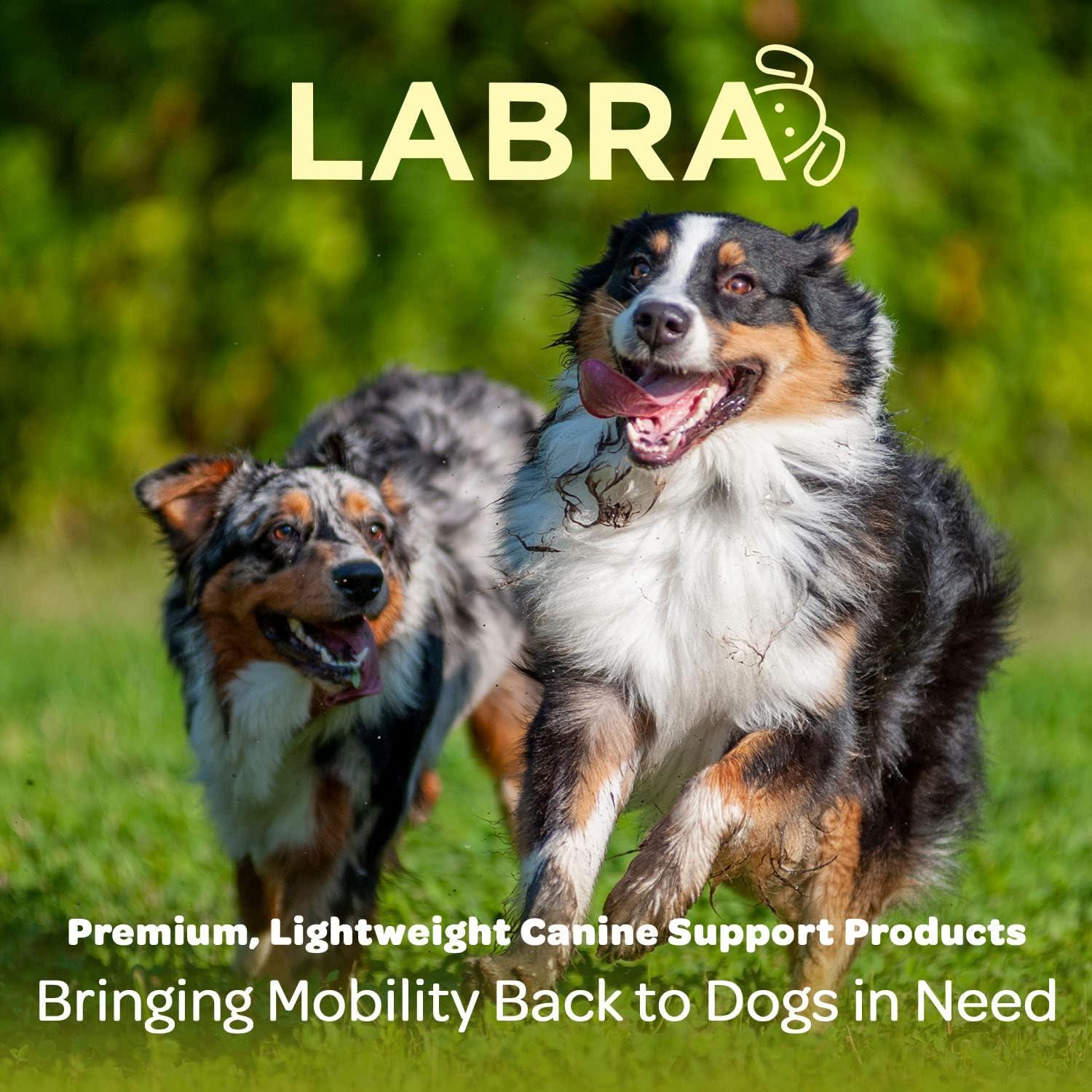 Manga de Compresión para Pierna Delantera Labra - Pequeño/Mediado