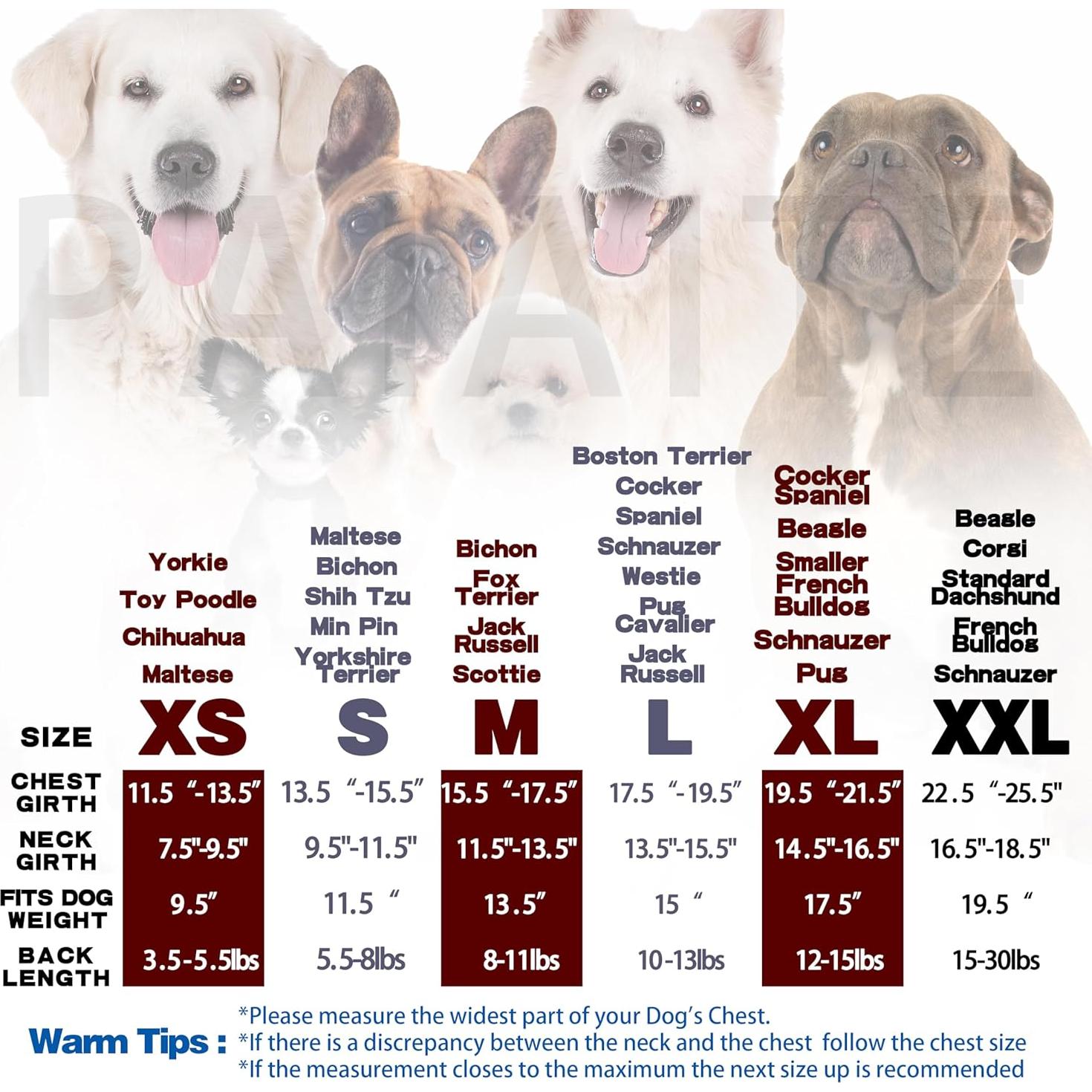 Sudadera para Perros Paiaite Mediana Gris Suave y Ligera