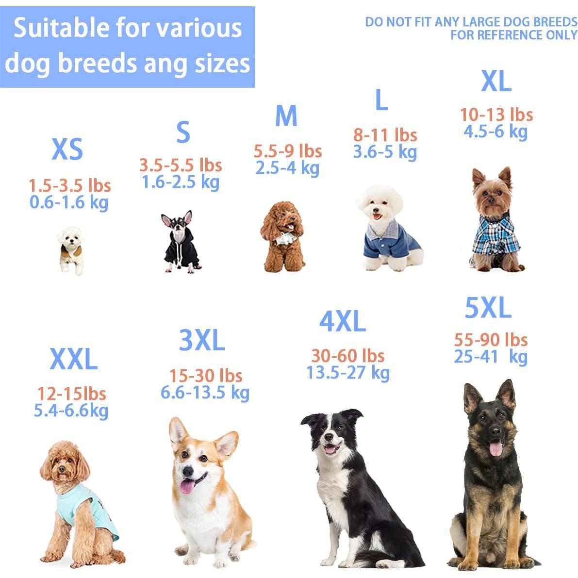 Sudadera para Perros Paiaite Mediana Gris Suave y Ligera