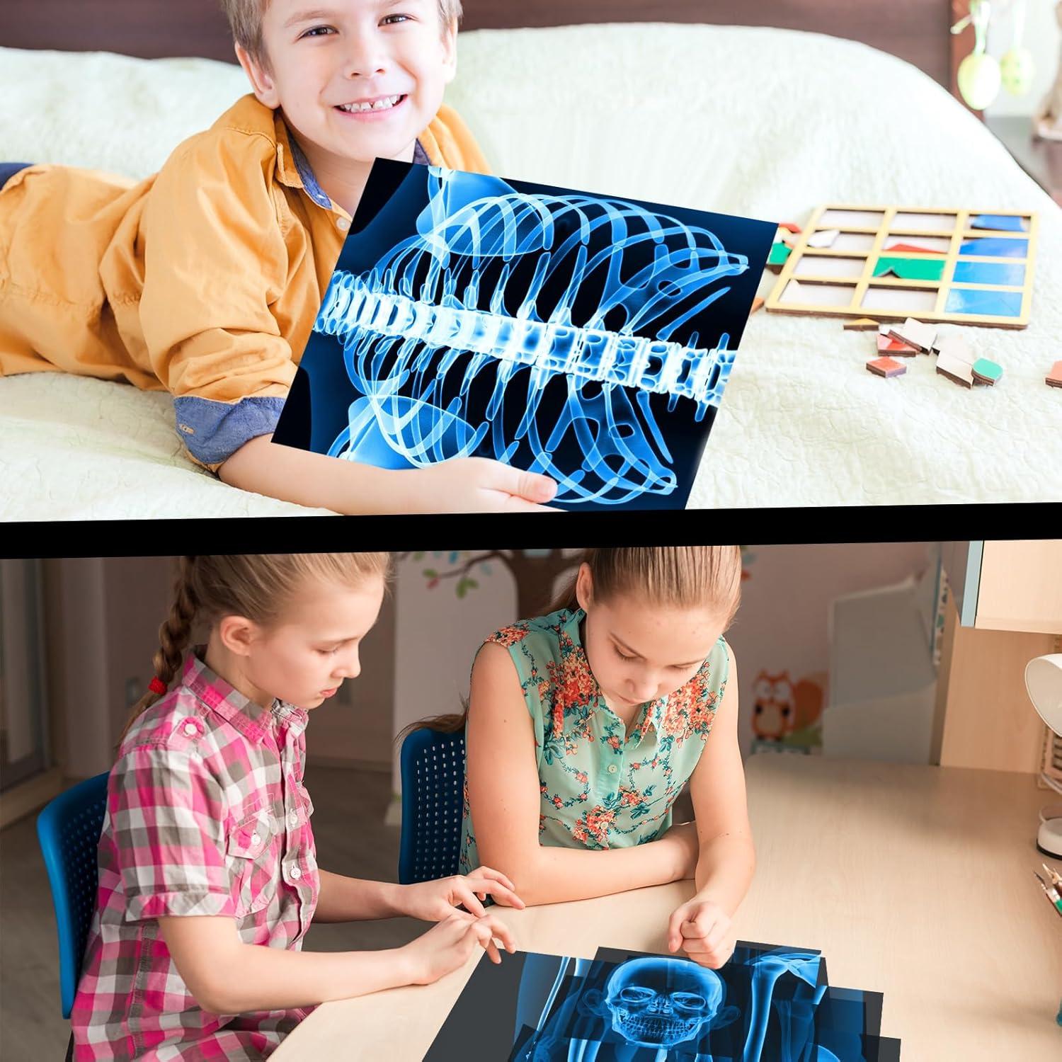 16 Piezas Rayos X Humanos Lineshading Azul para Niños