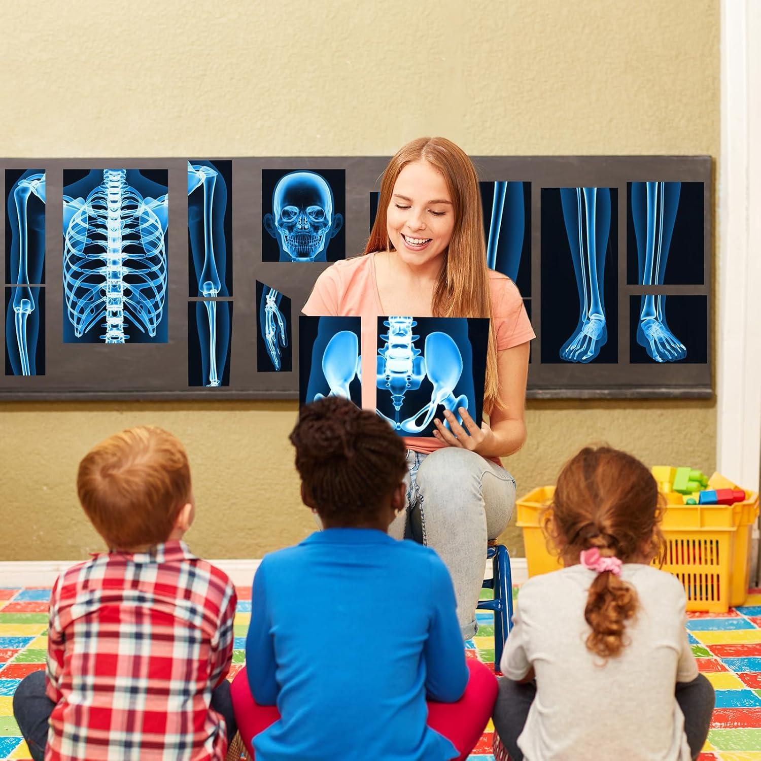 16 Piezas Rayos X Humanos Lineshading Azul para Niños