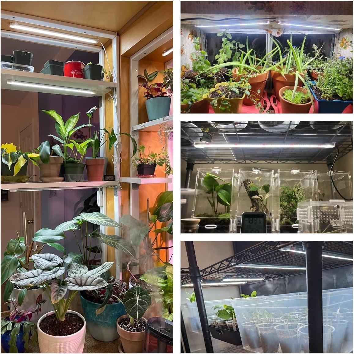 Luz de Crecimiento Wiaxulay 6000K LED con Temporizador 40cm